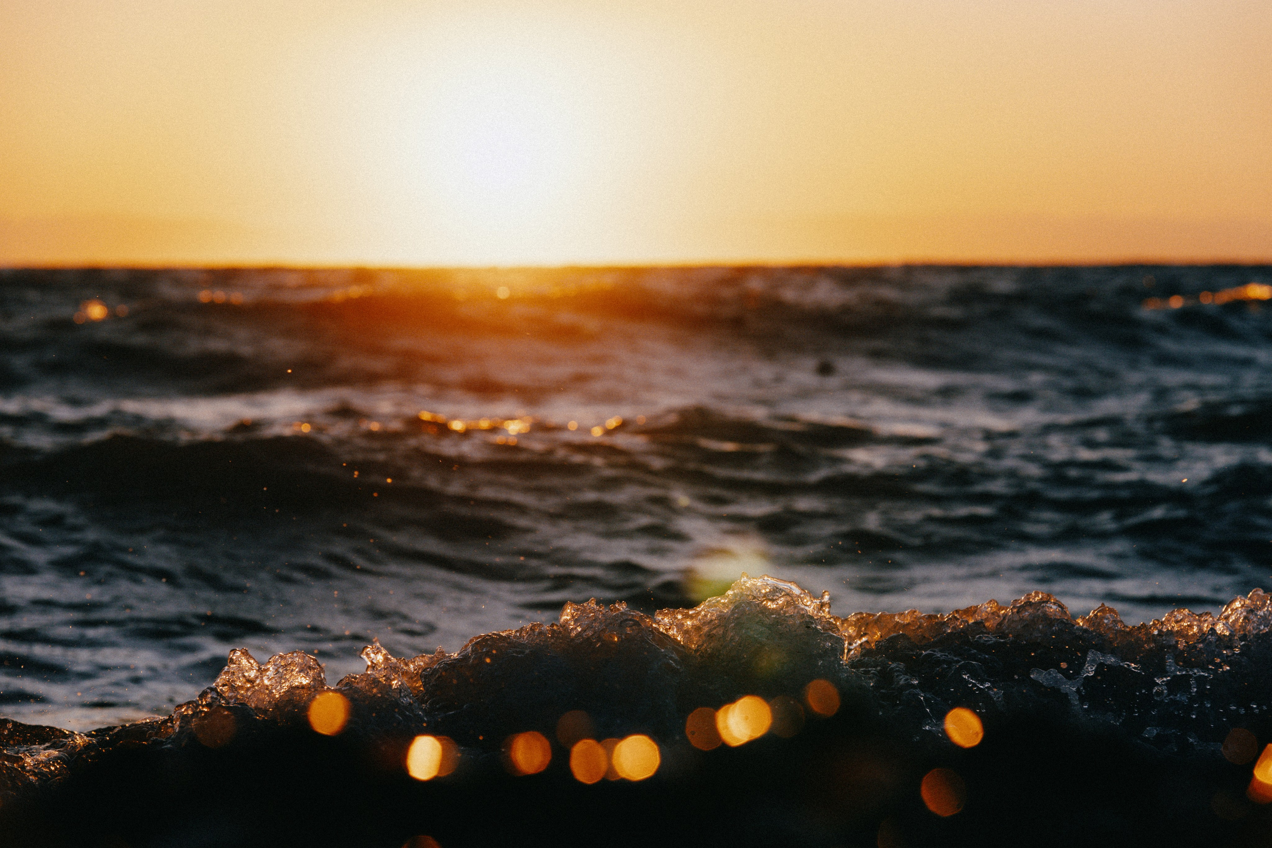 Природа. Спортивный фотограф Тремпольцева Анна