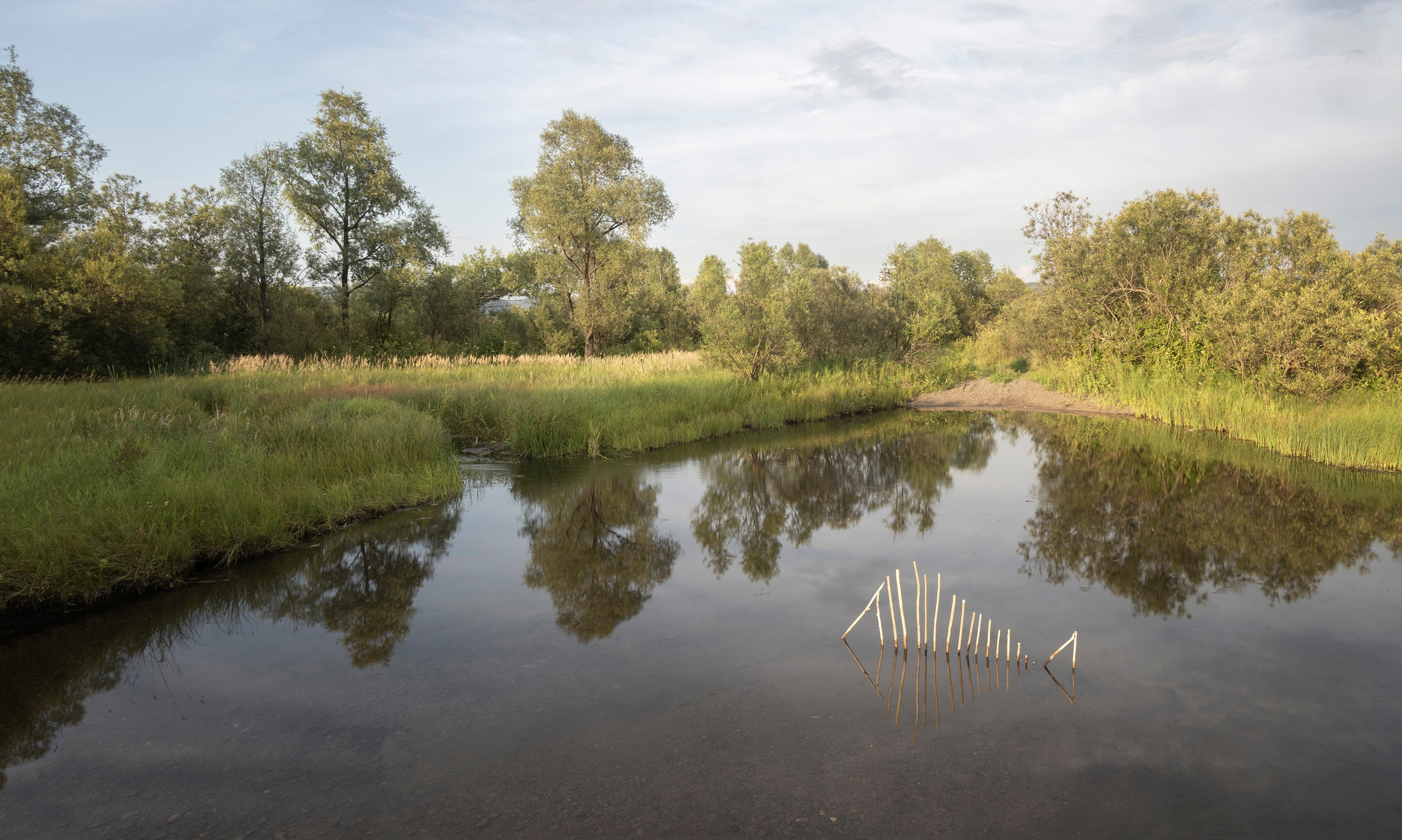 Александр Лещёнок и Марина Огнева | междисциплинарные художники