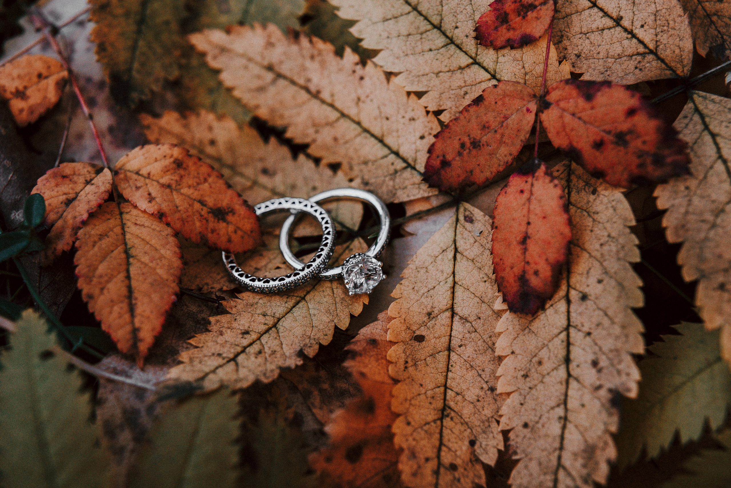 Слайд-шоу. Свадебный и семейный фотограф в Екатеринбурге Михаил Лежнев