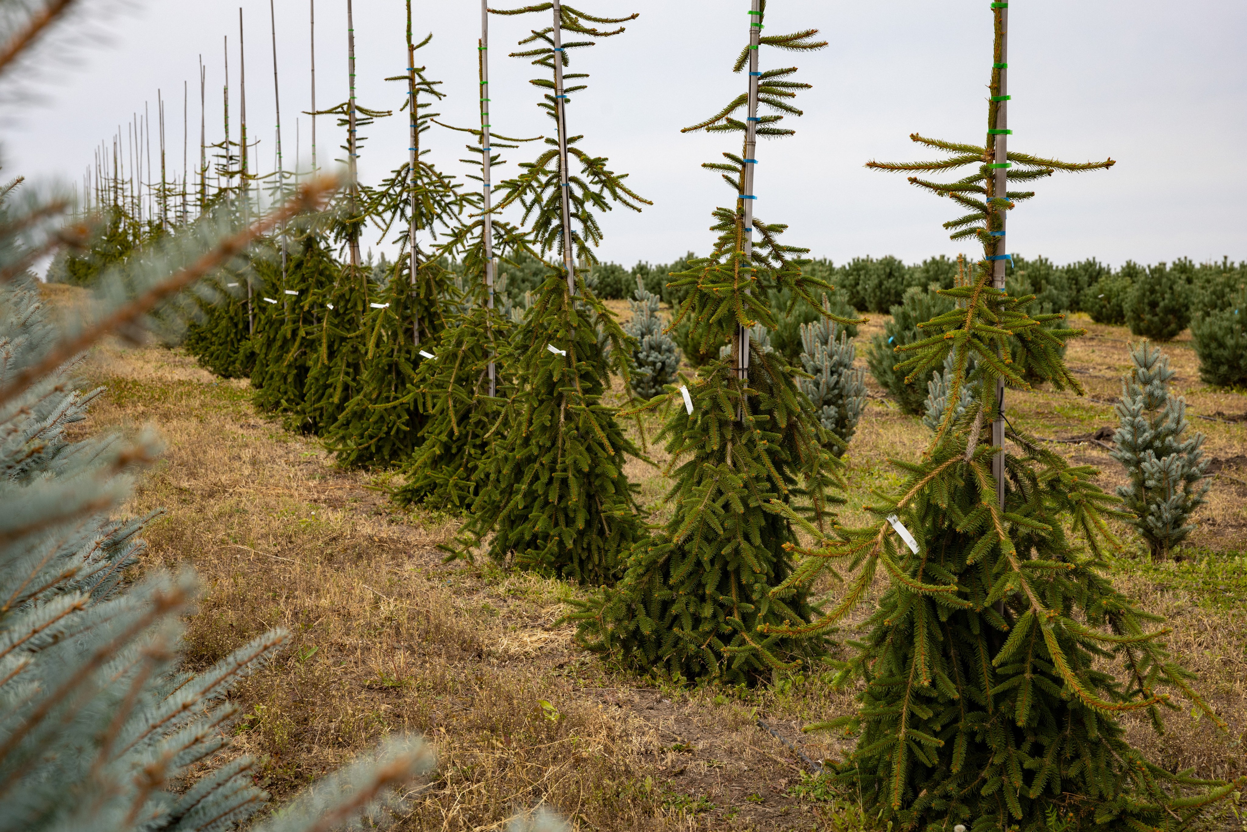 Предметная, интерьерная съемка. Фотограф в Ельце Сапрыкина Екатерина