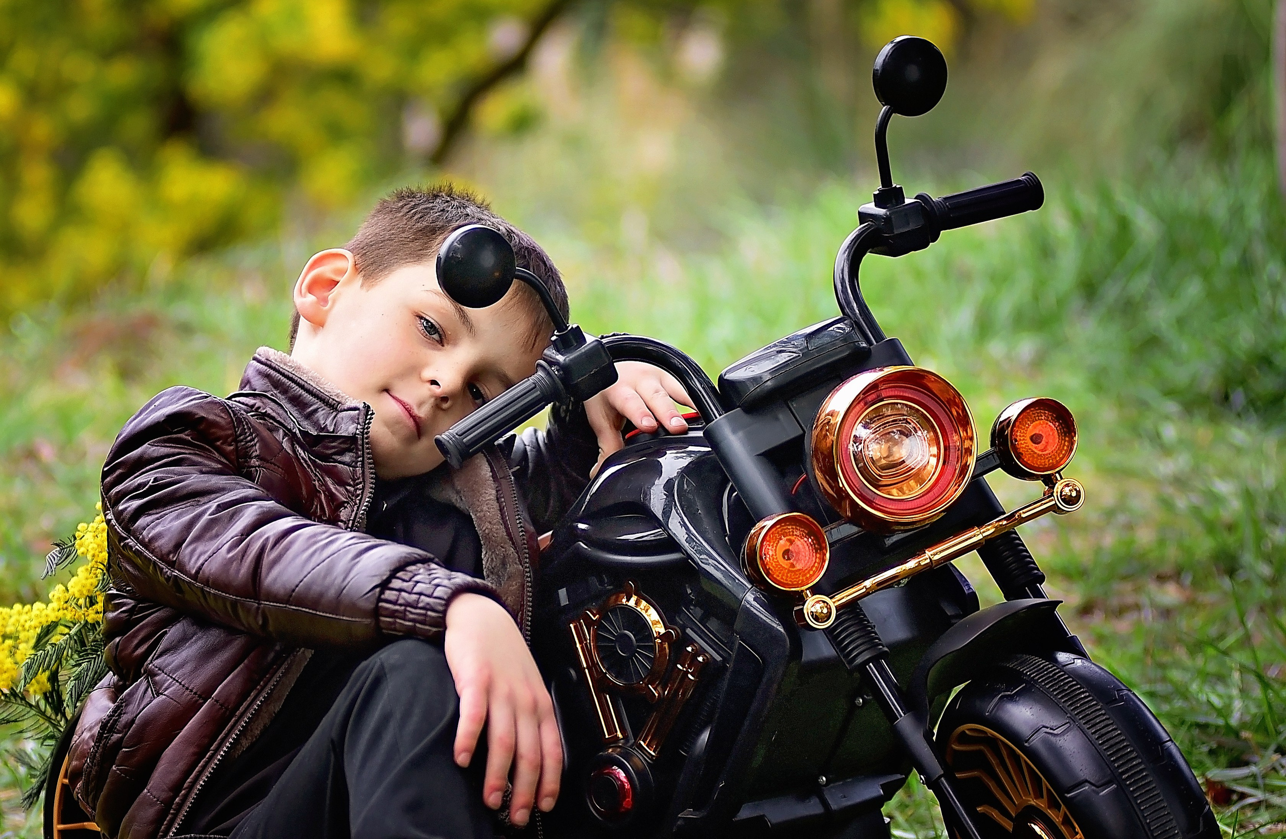 Мимоза. Главная