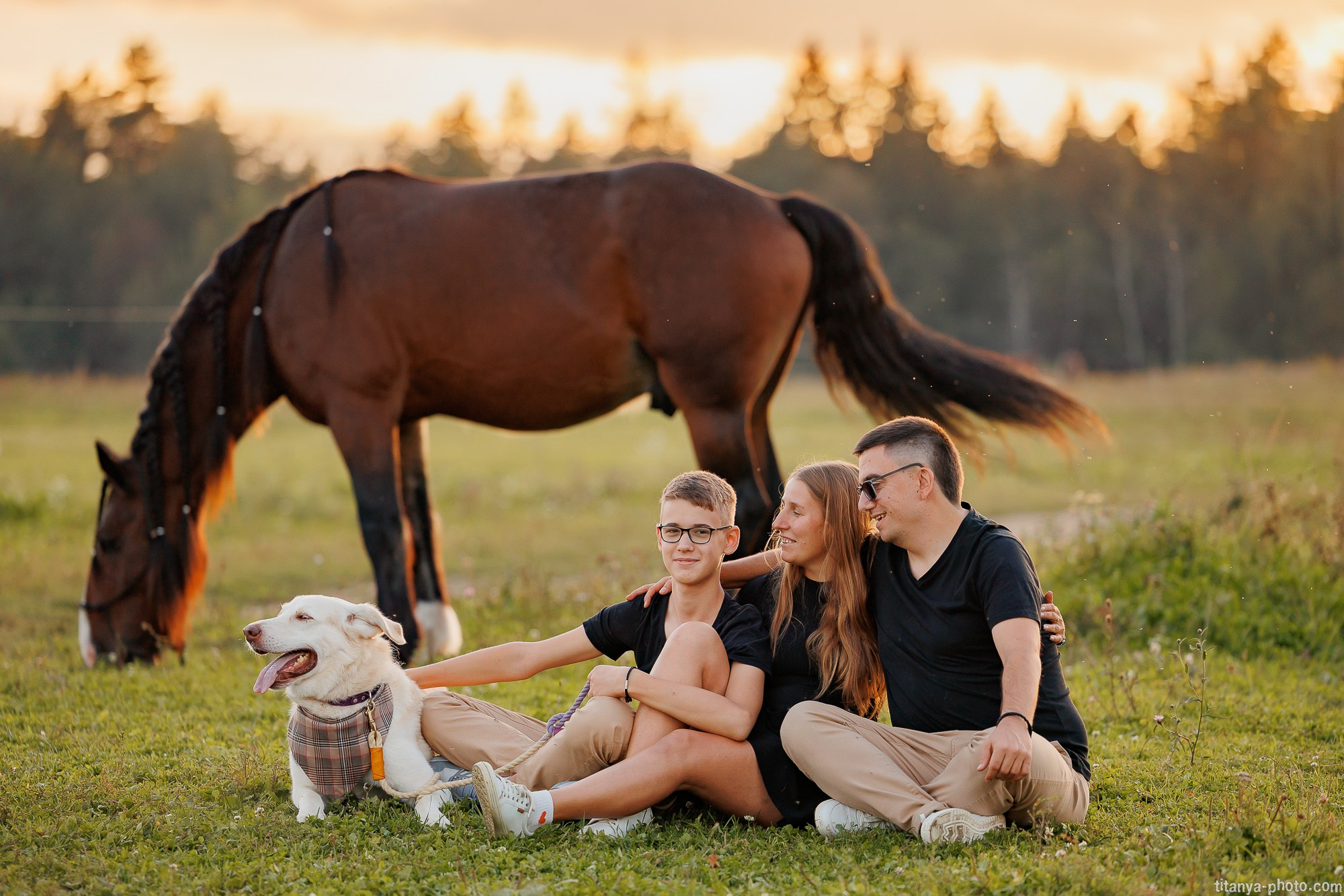 Закатная семейная фотосессия: про Настю и её дружную семью. Фотограф собак, фотограф-анималист Аня Титова (Titanya). Москва