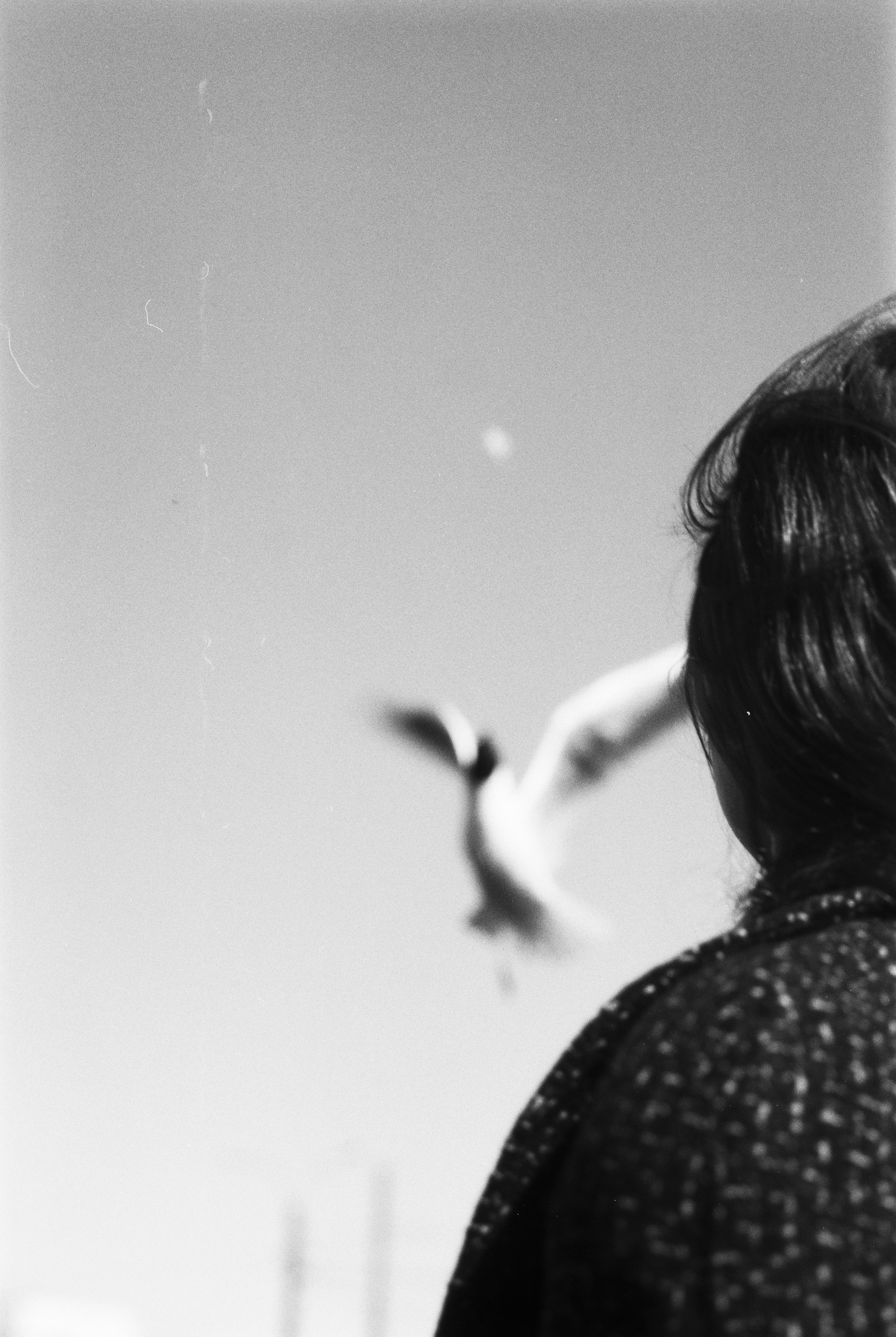 ANNA. Zheltokhov Egor