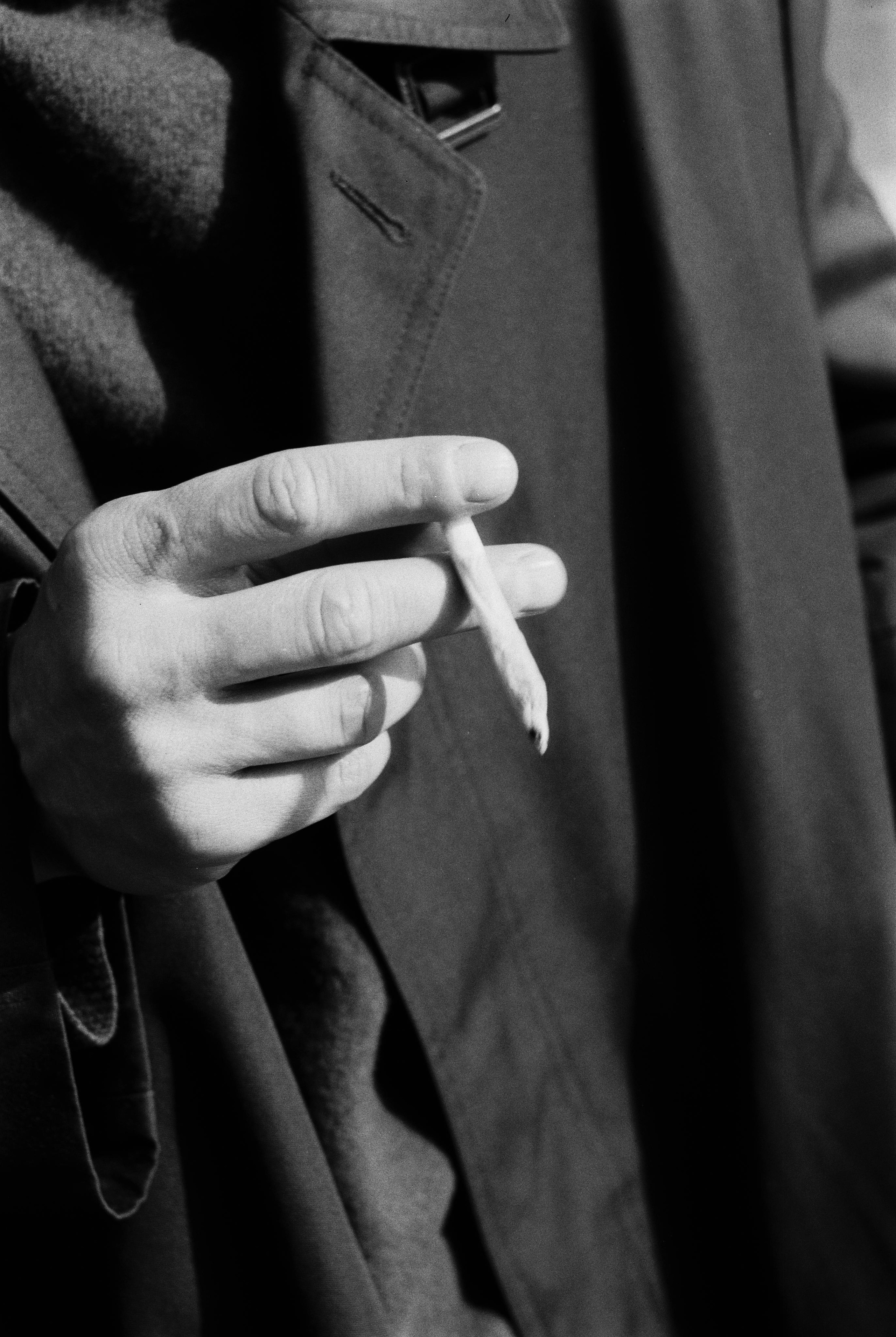 IGNAT. Zheltokhov Egor