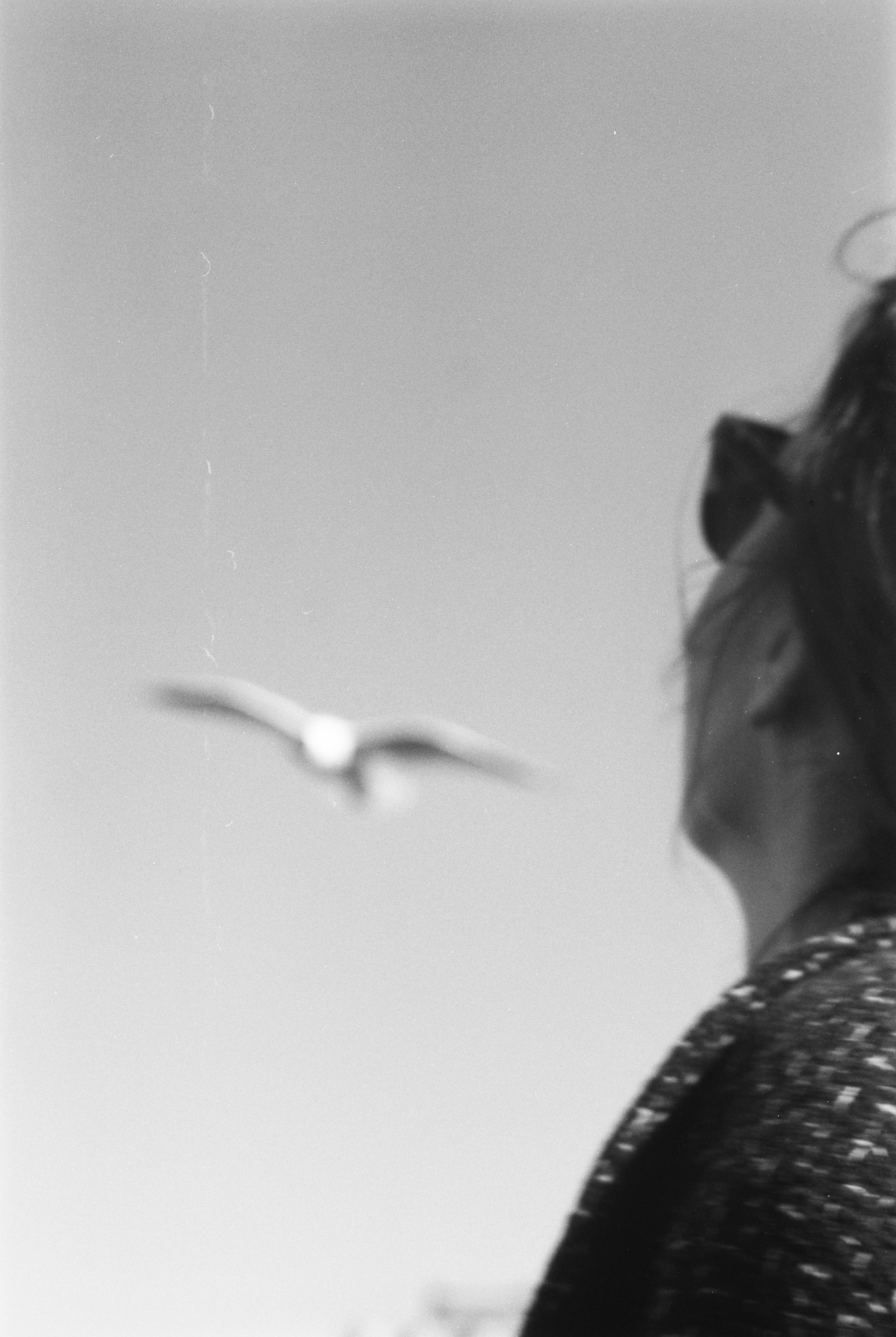 ANNA. Zheltokhov Egor