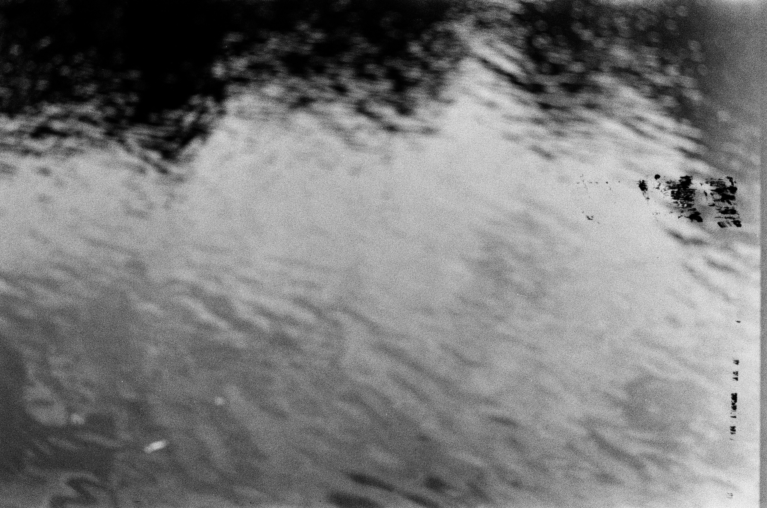 KATYA. Zheltokhov Egor