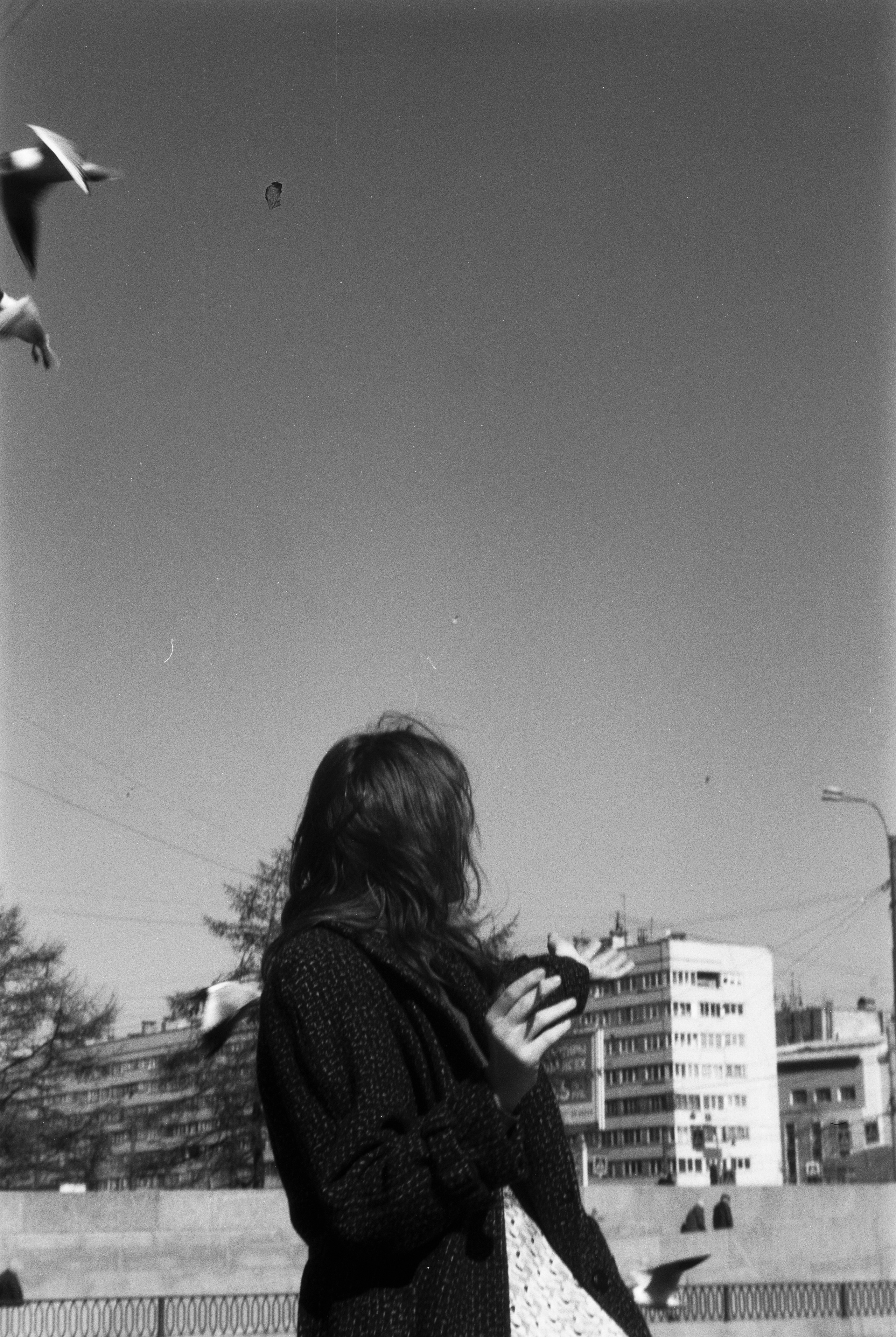 ANNA. Zheltokhov Egor