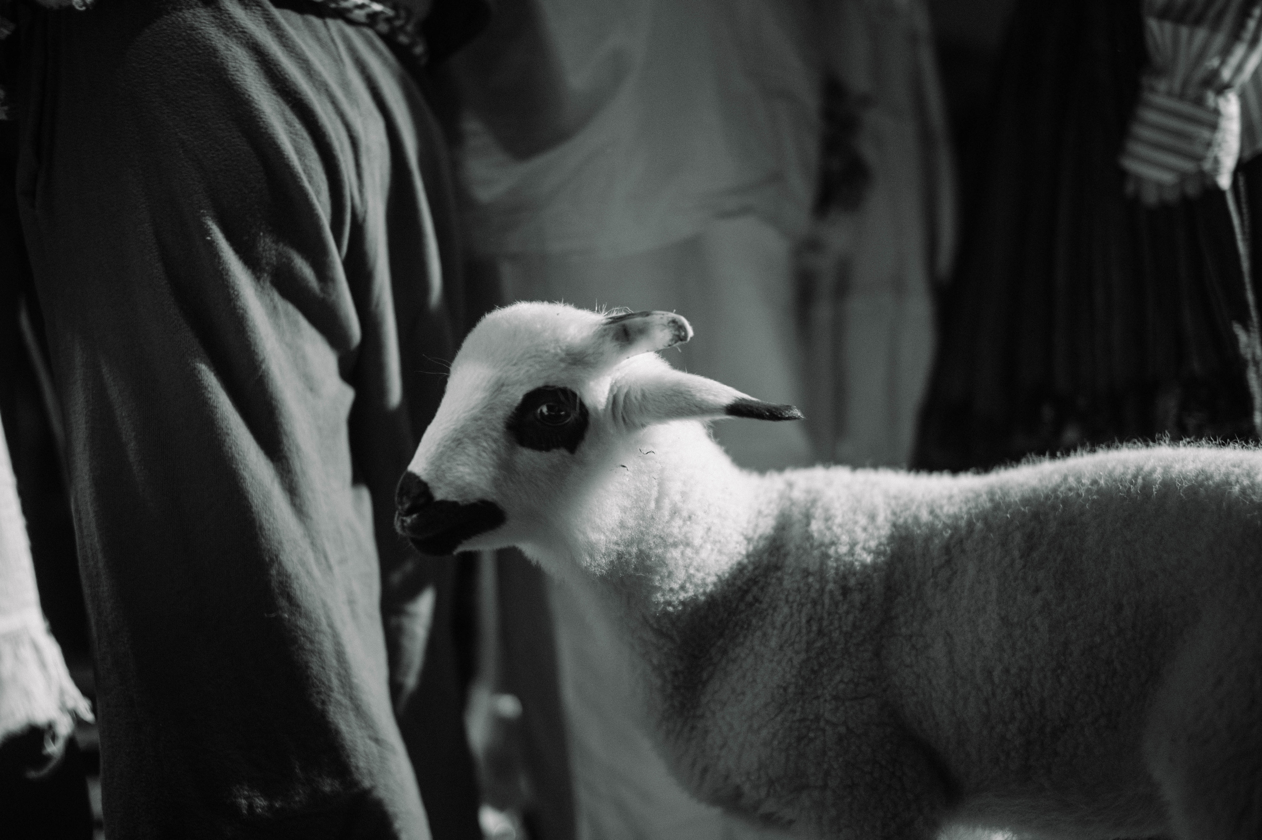 KPGT THEATRE. Zheltokhov Egor