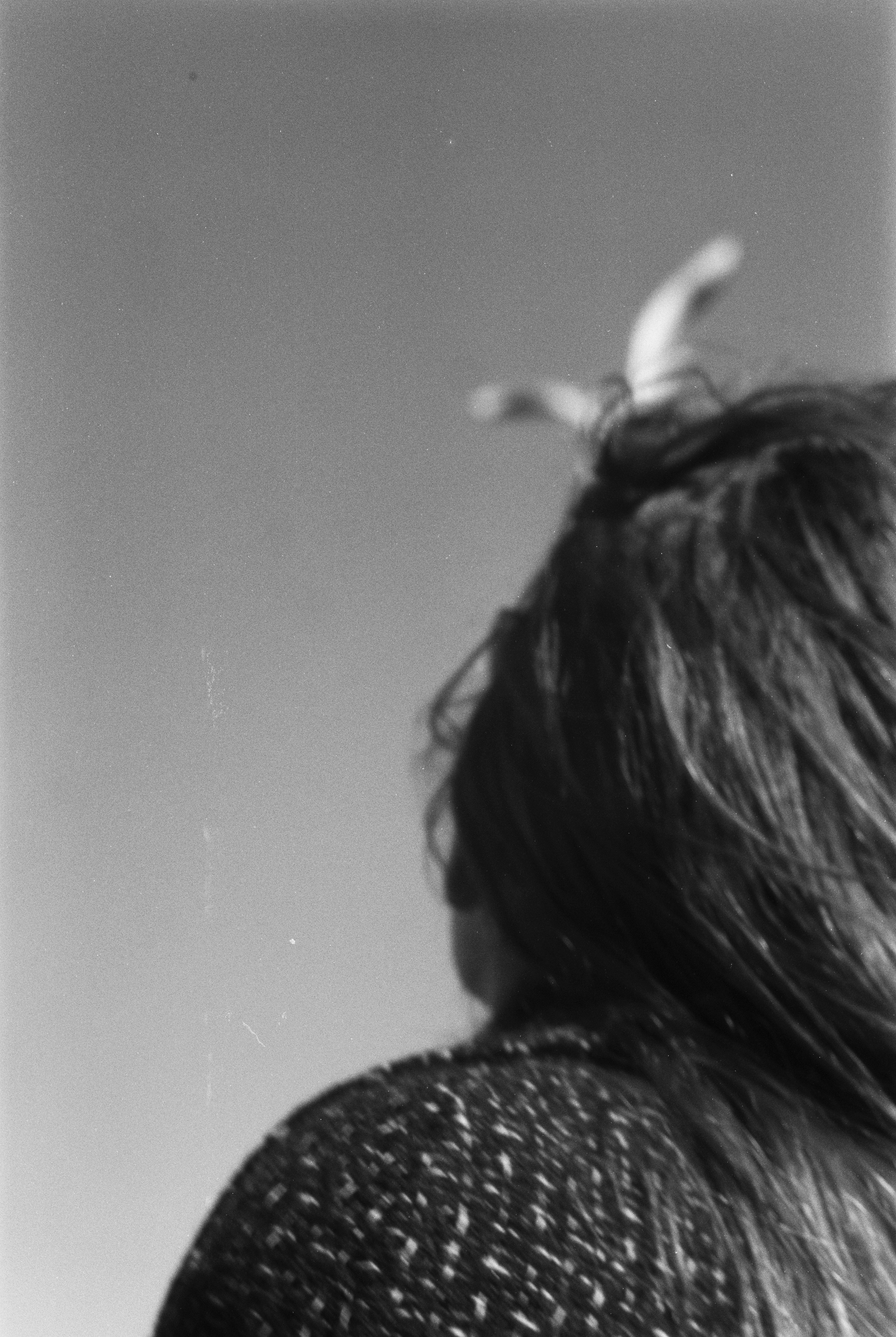 ANNA. Zheltokhov Egor