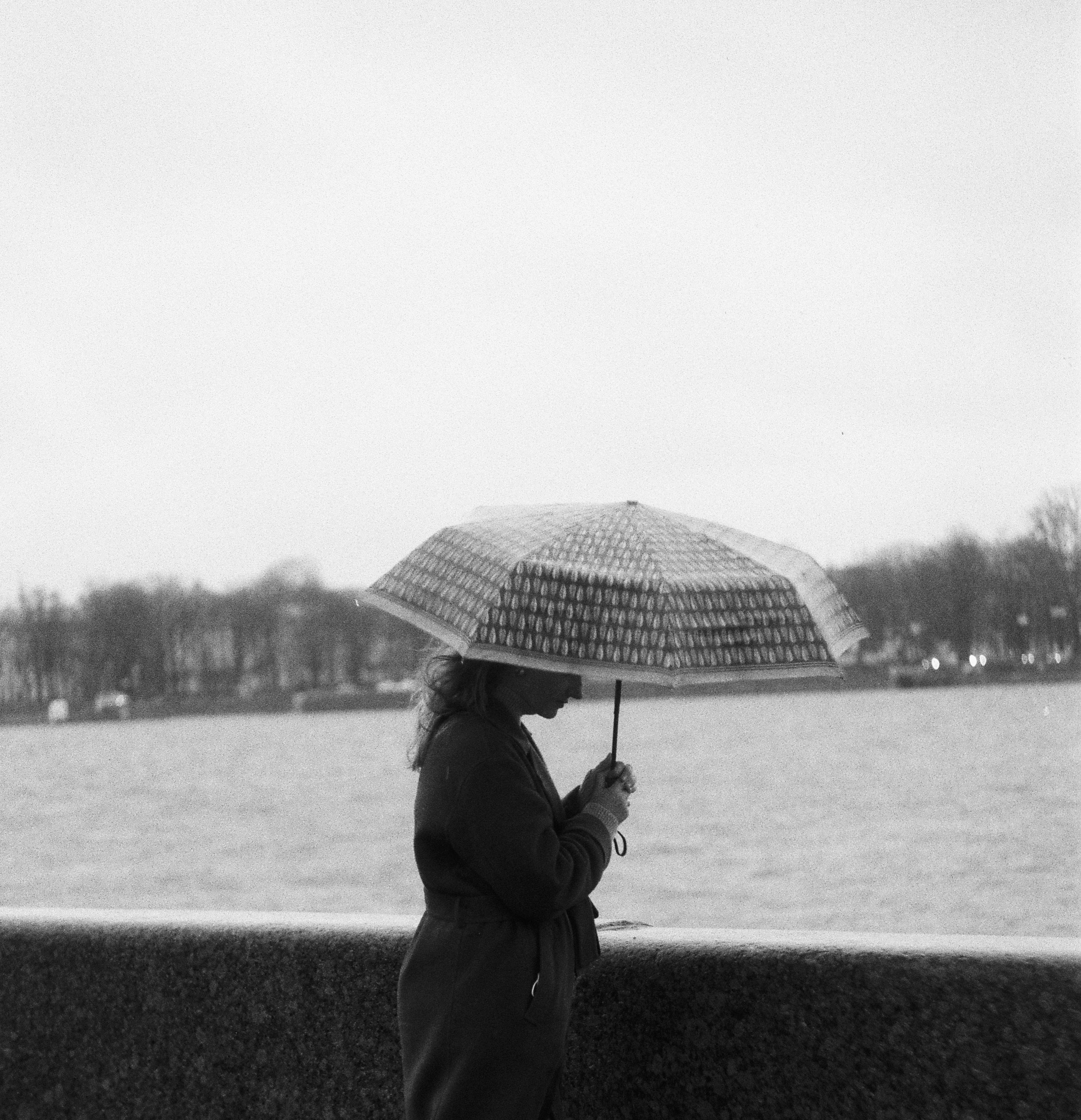 YANA. Zheltokhov Egor