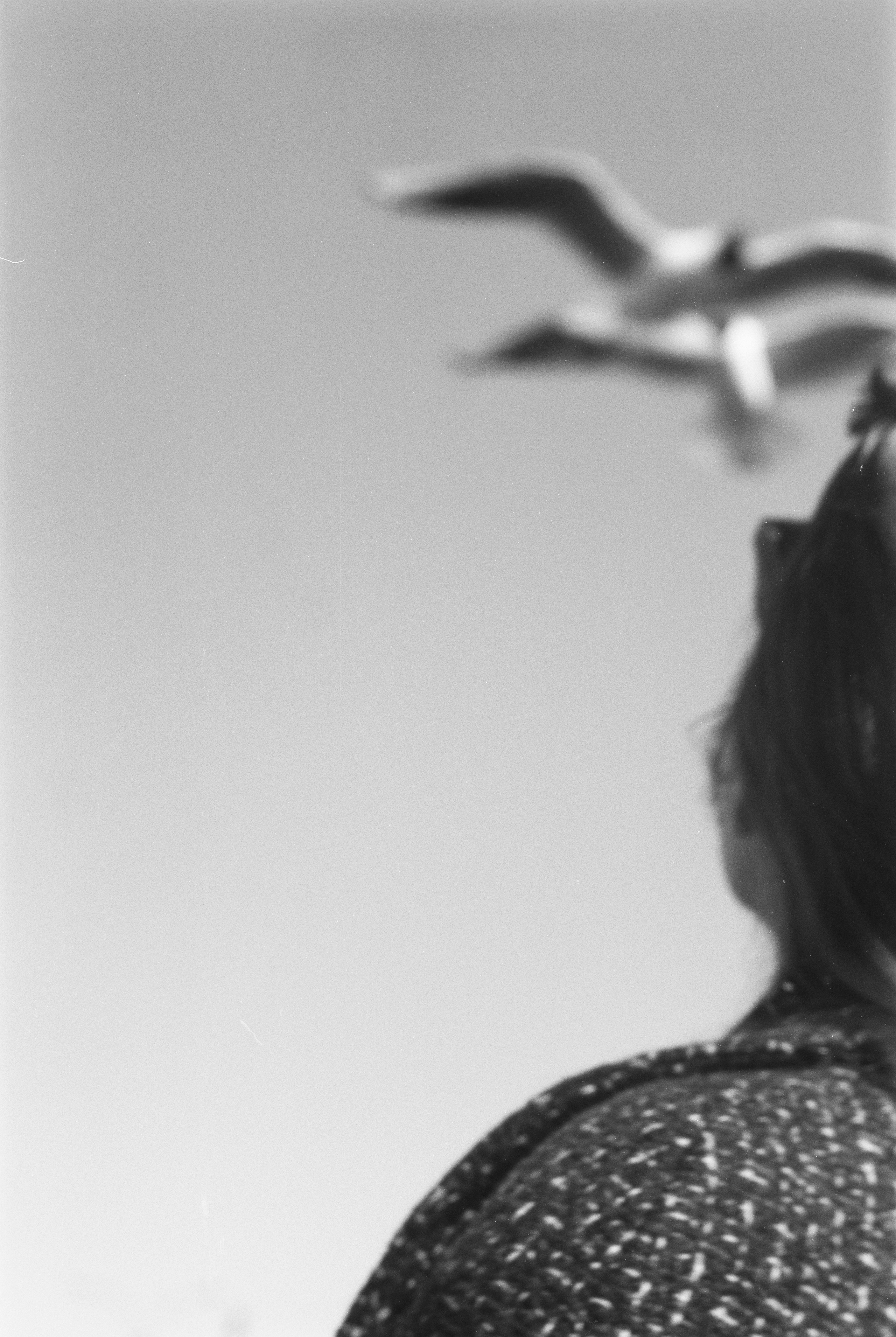 ANNA. Zheltokhov Egor