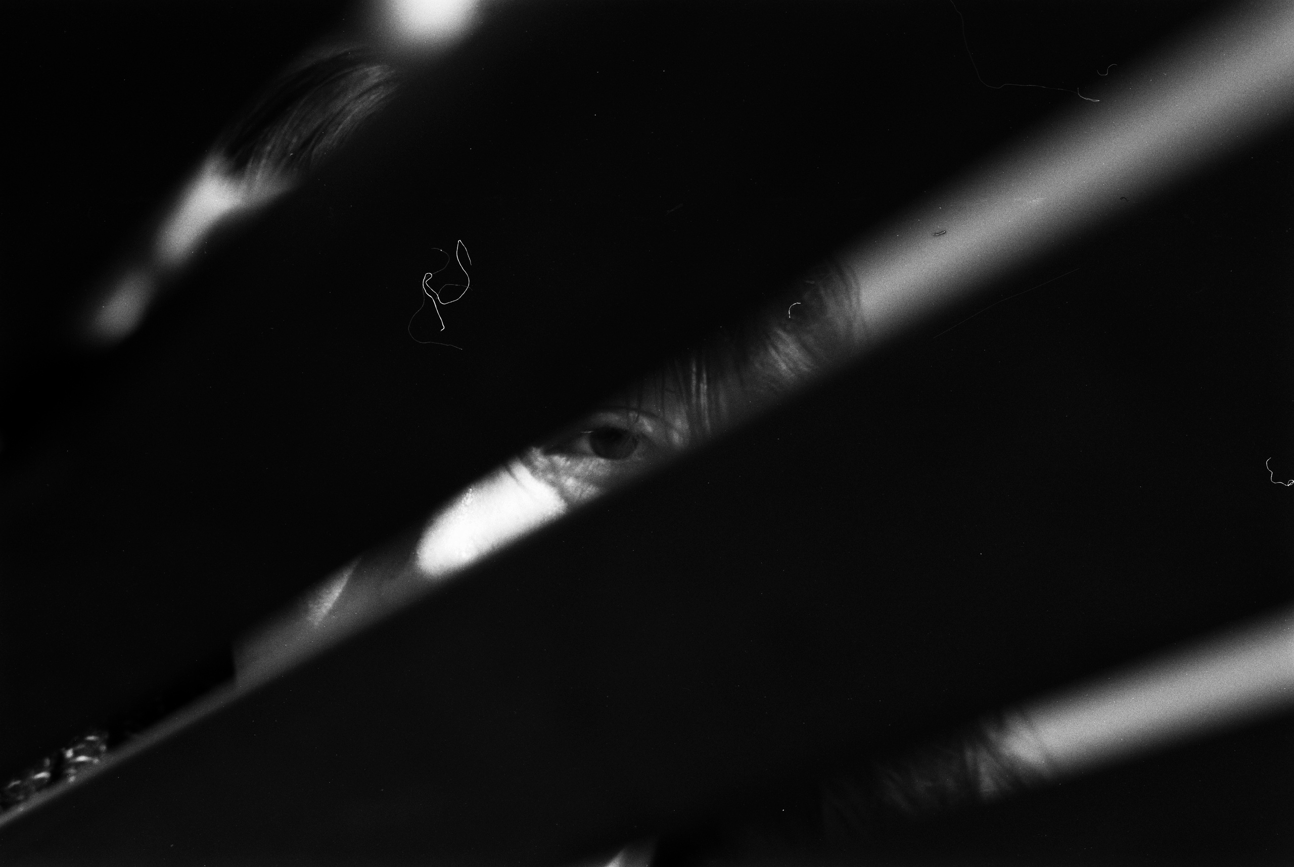 ANNA. Zheltokhov Egor