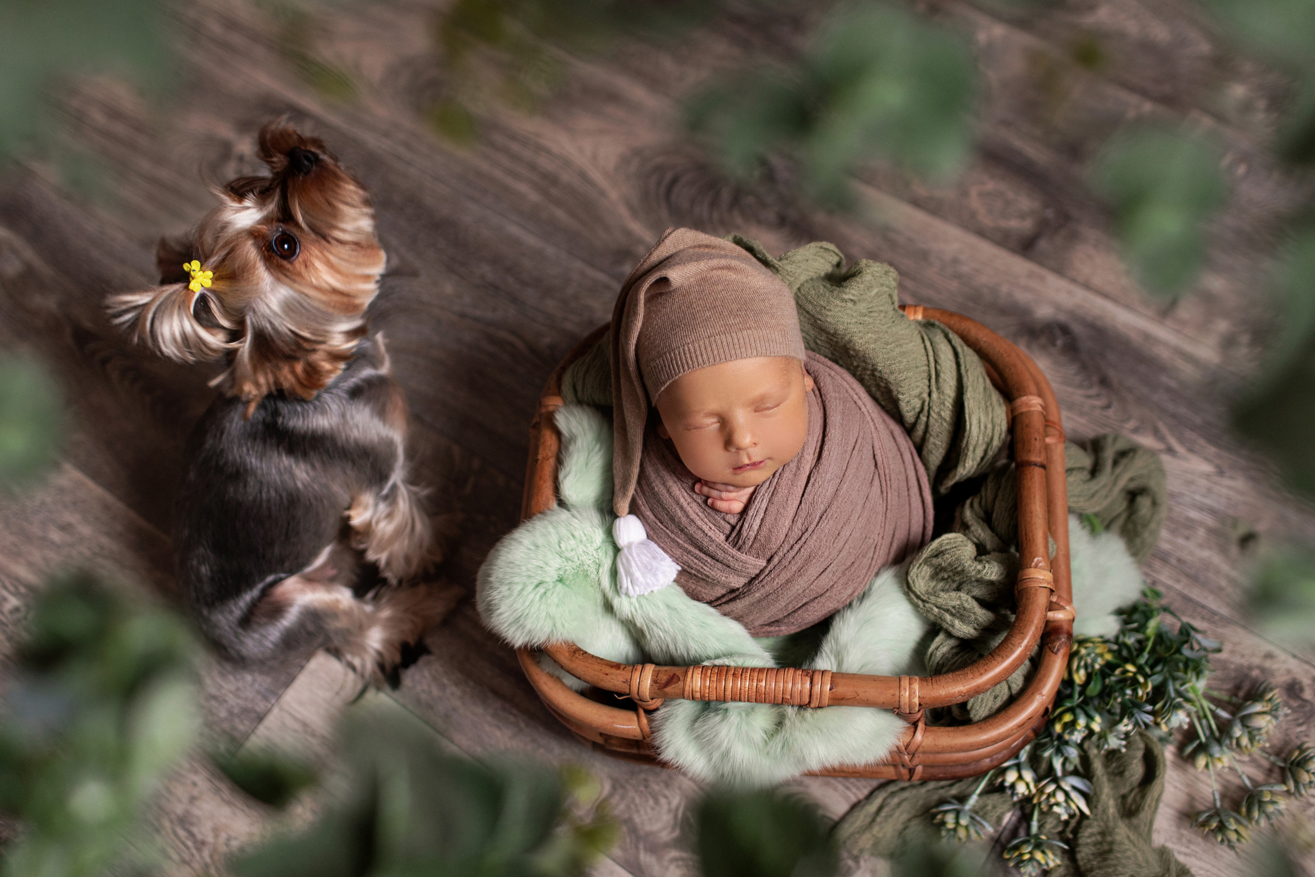 Новорожденные. Фотограф новорожденных в Ульяновске Татьяна Соболева