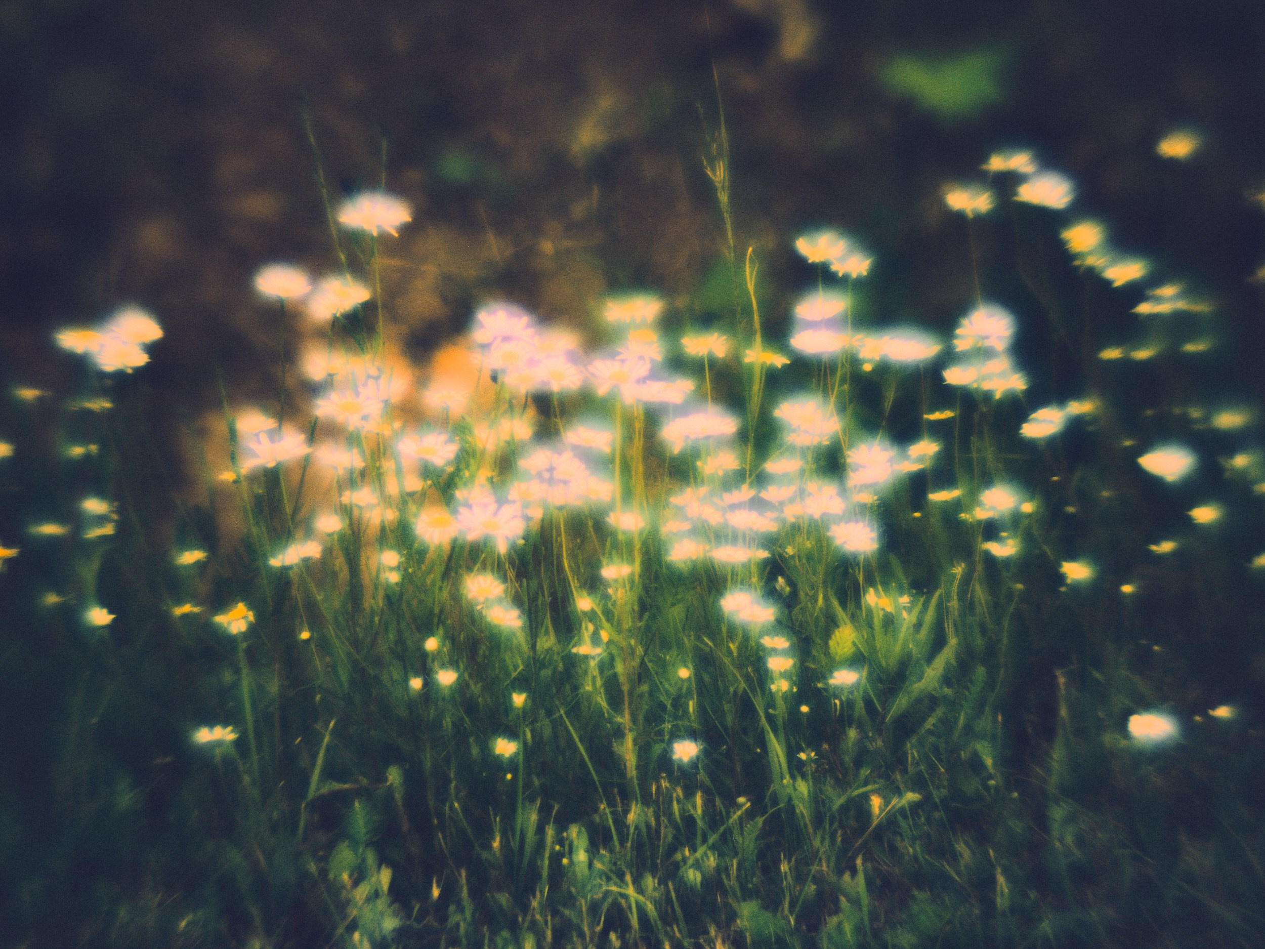 Фотограф Юлия Глазкова