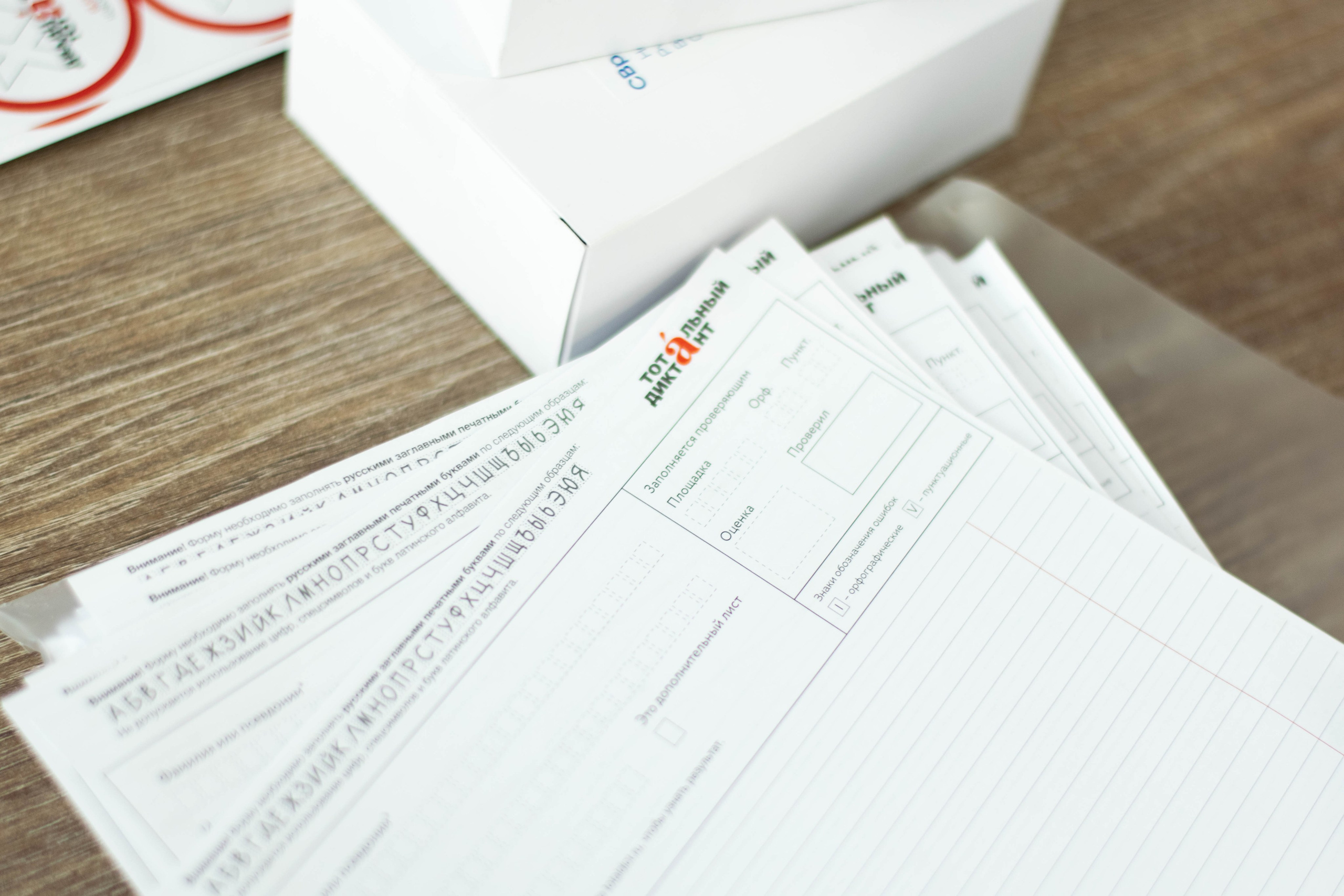 Тотальный диктант 2023. Фотограф в Новосибирске | Елена