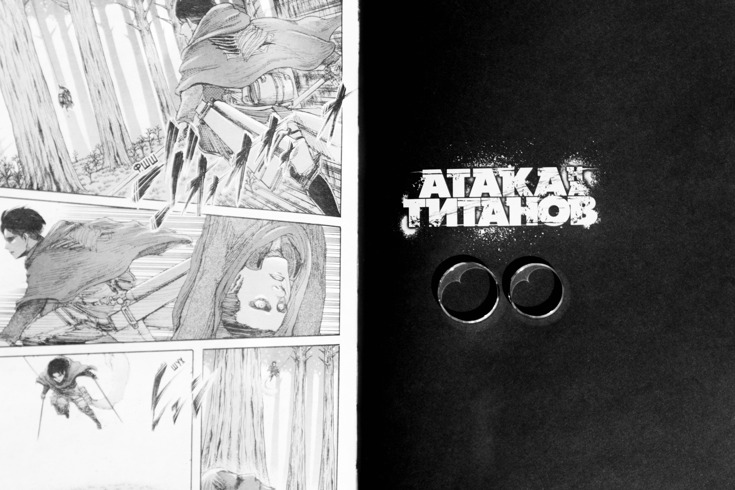 Родион и Анна. Организатор свадеб Барнаул/Алтай/Дагестан