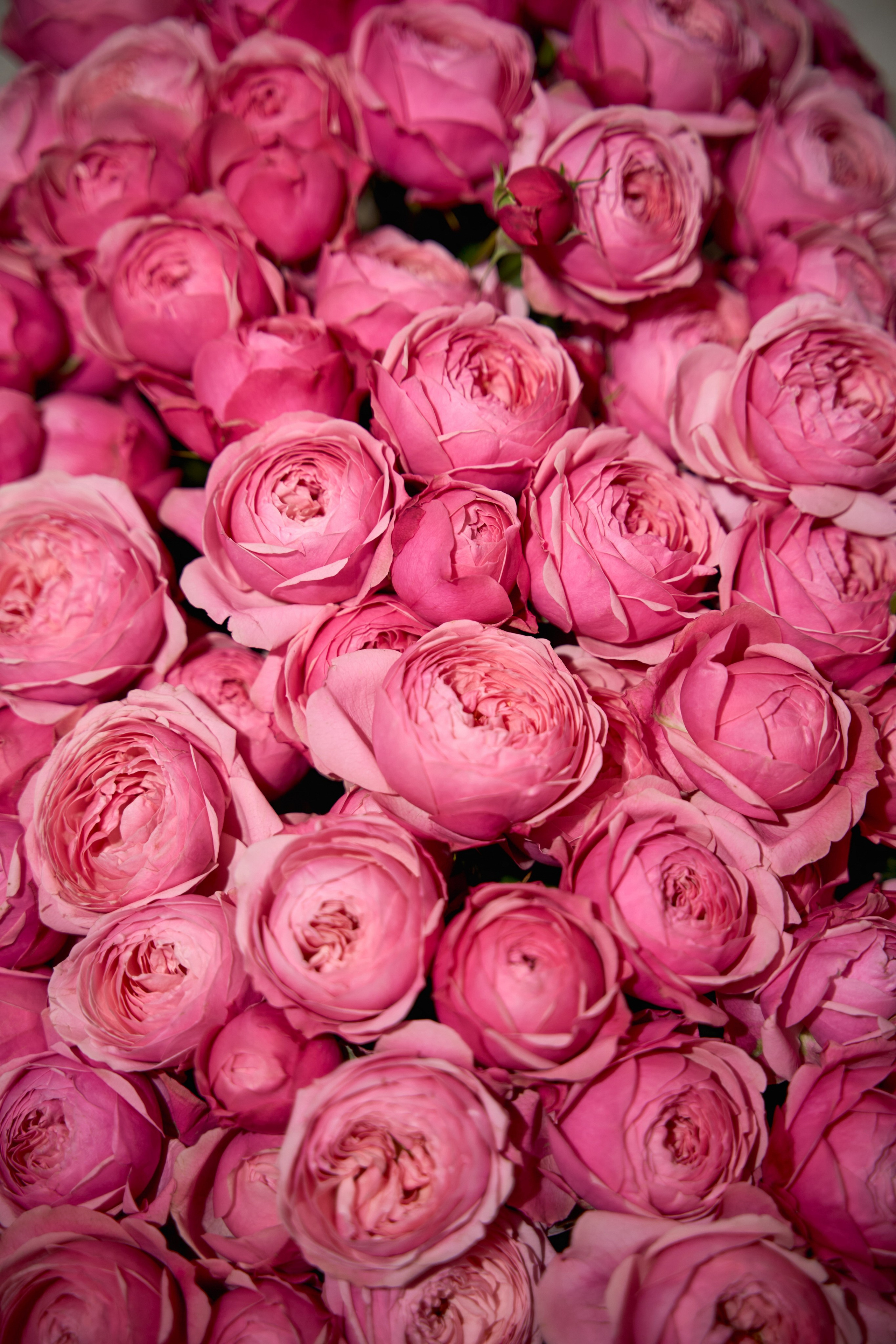 Красивое и чувственное сватовство Рафаэля & Алины в GOLDEN PALACE от ТВИНС СТУДИО. ТВИНС СТУДИО — лучшие свадебные фотографы и видеографы в Краснодаре