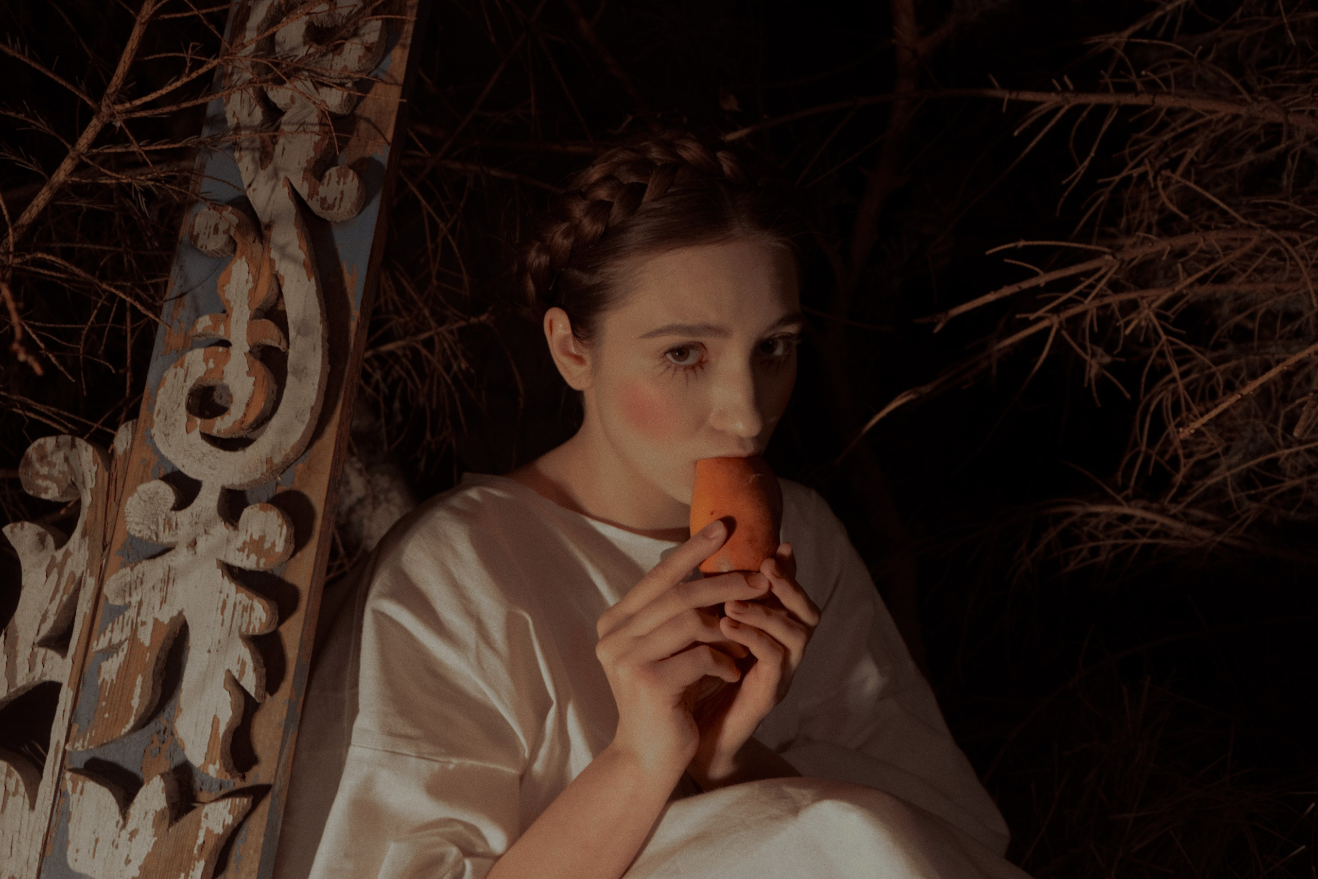 Гуси Лебеди. Фотограф Настя Лев