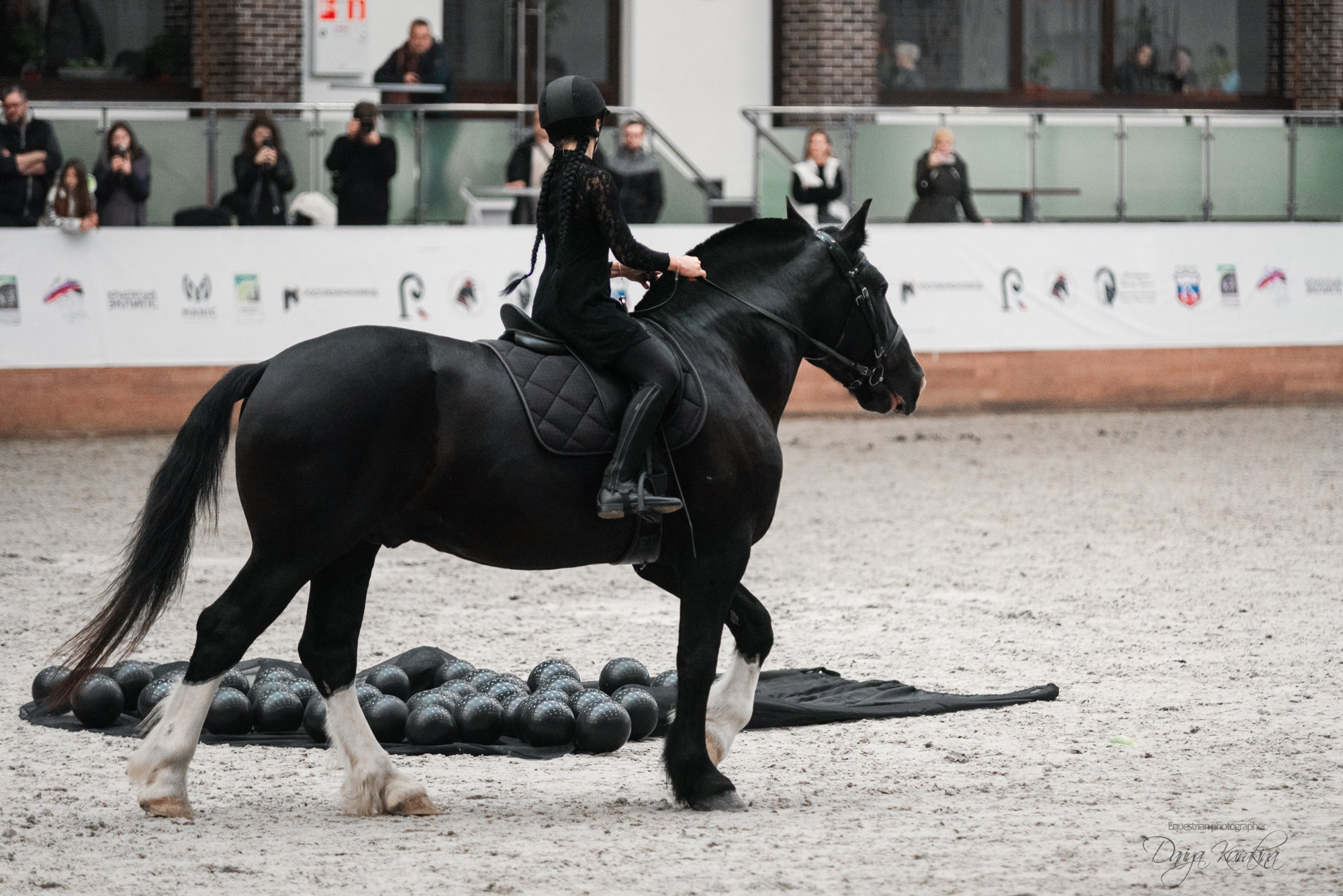 8-я международная выставка Конная Россия. Конный фотограф Куракина Дарья • Фотосессии с лошадьми