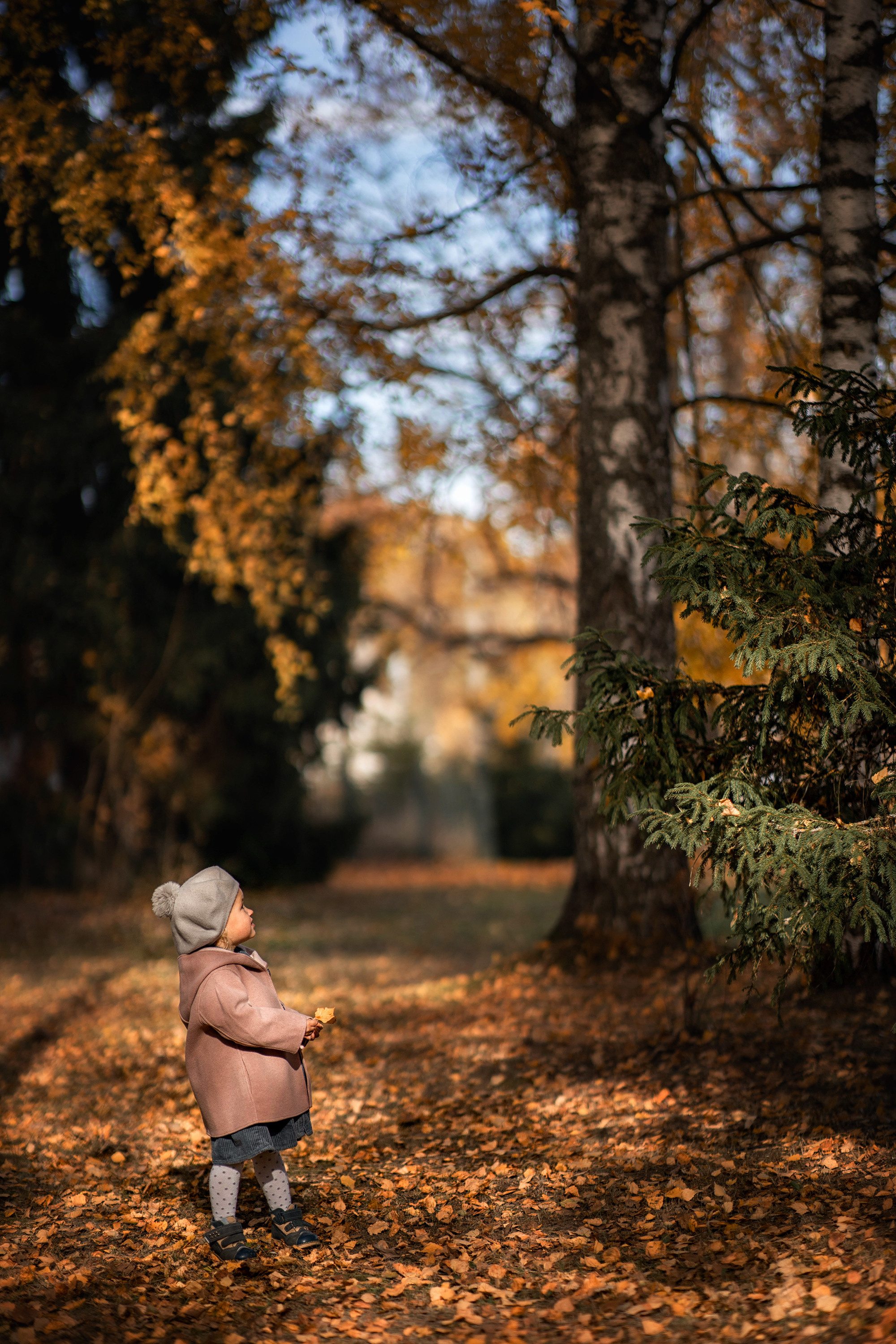 Семейная прогулка в Домотканово. Детский и семейный фотограф в Твери Ольга Крестьянинова