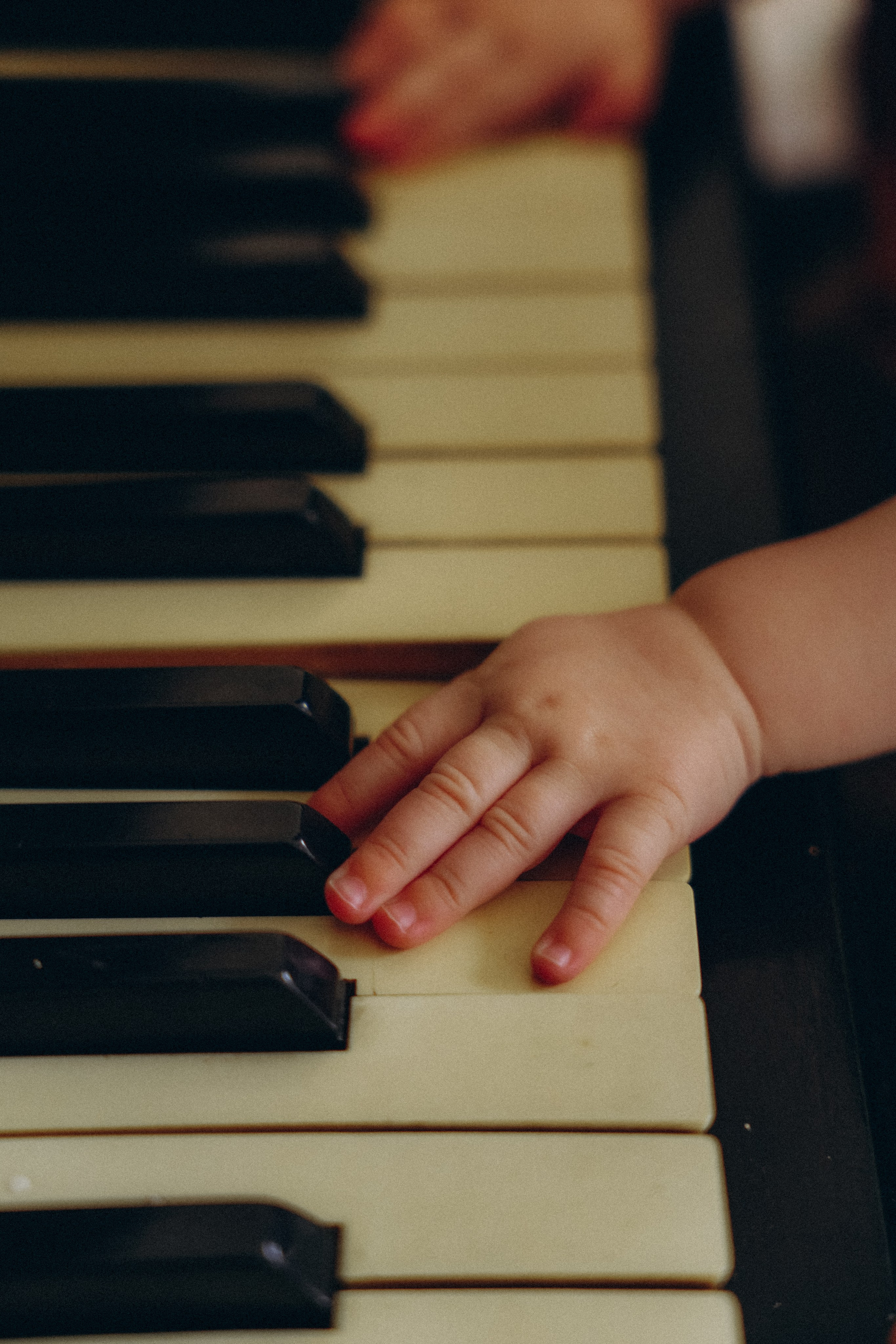 Вадим Инна и Полина