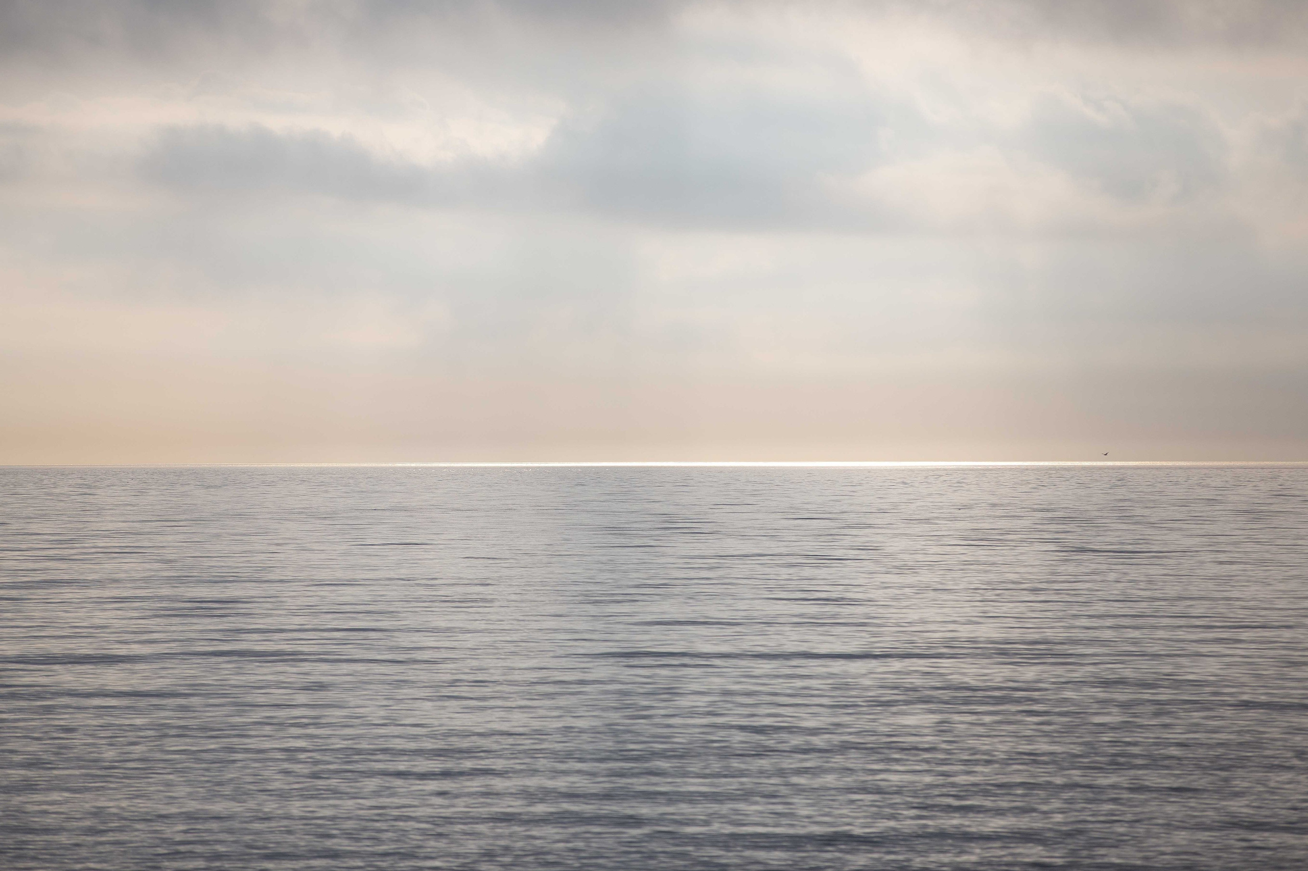 Anastasia Shapoval violoniste et photographe. Annecy — Geneve