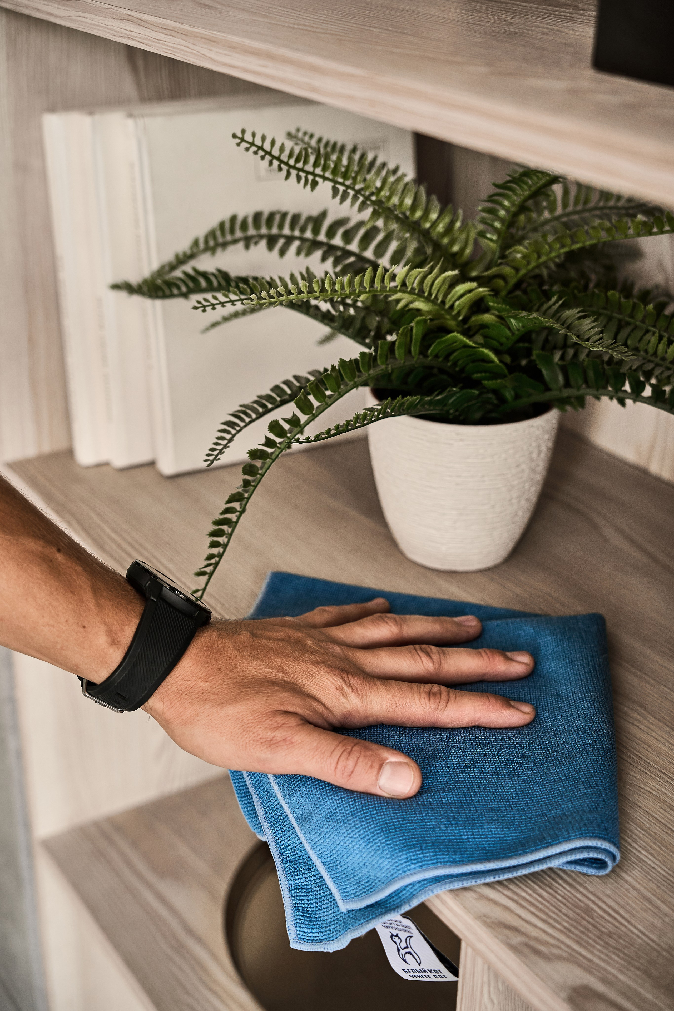 White cat. Фотограф в Москве Казакова Анна