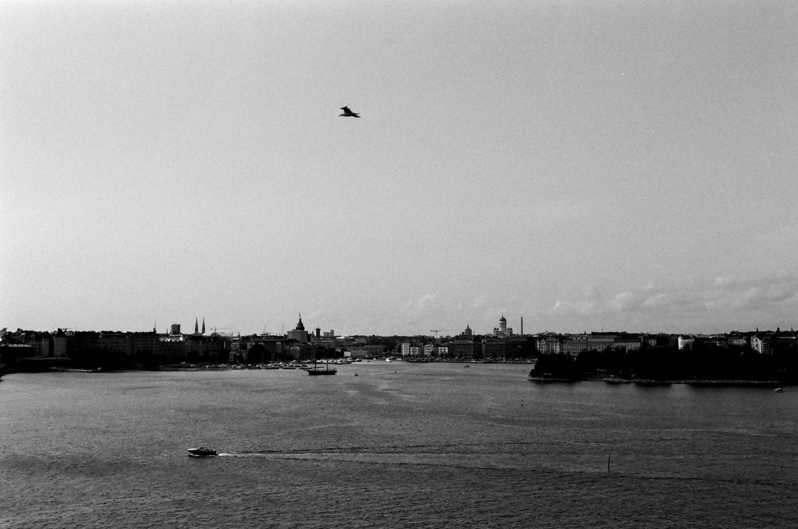 Film. Ruslan UI Dev Page