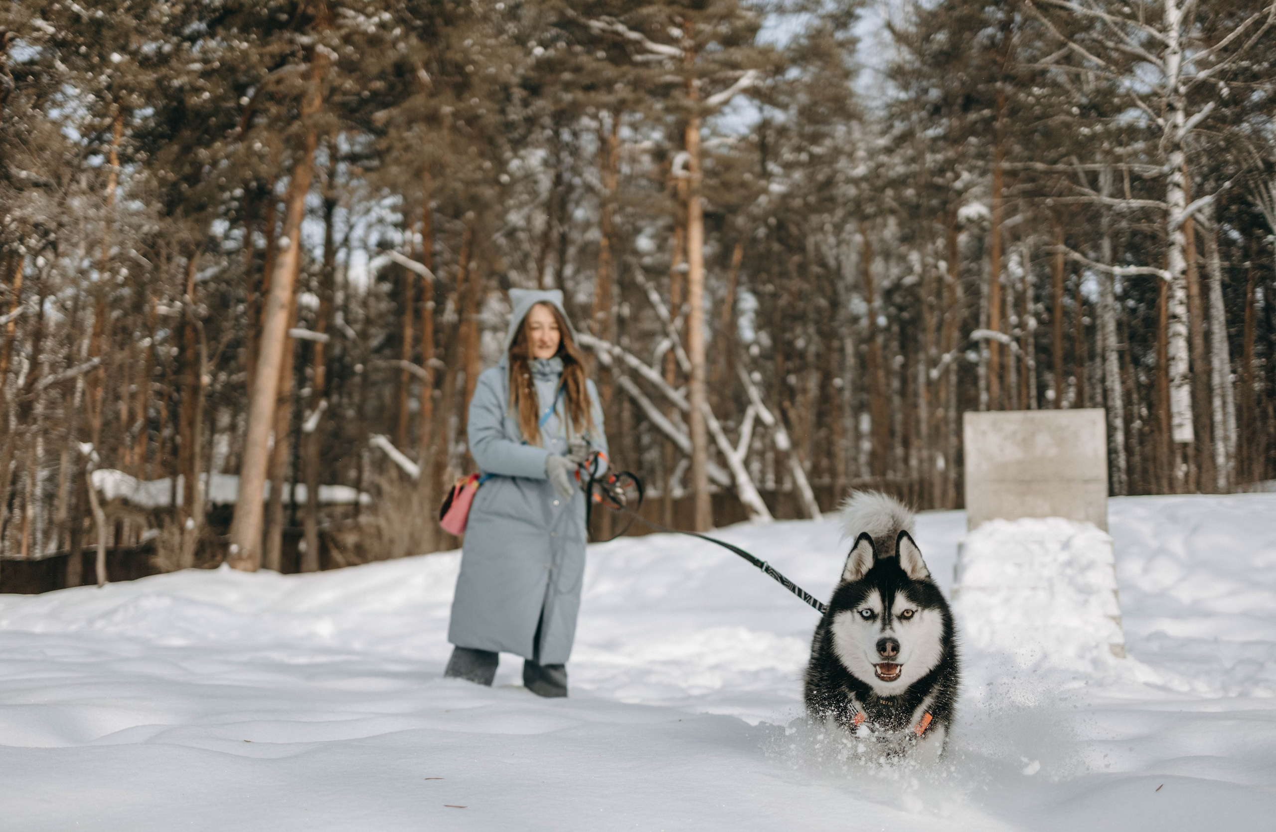 Анна и Вегас. Фотограф-анималист в Екатеринбурге | Кристина