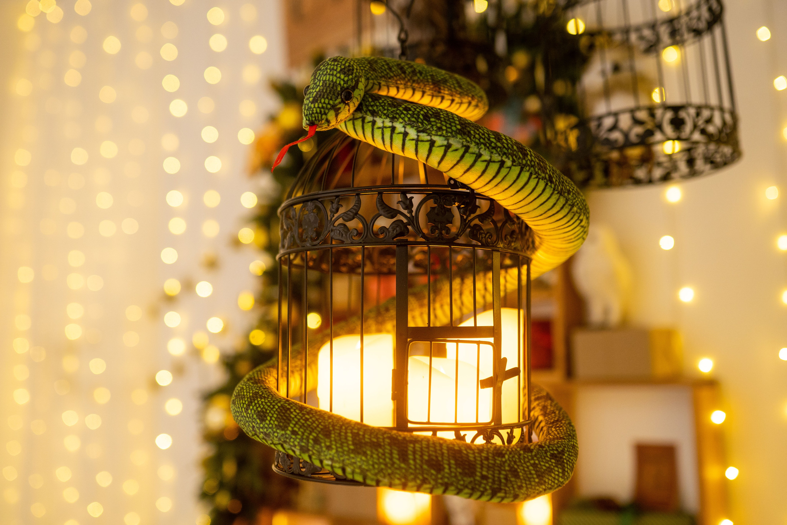 Зал Детский. Фотограф г. Хабаровск. Семейные и индивидуальные съёмки