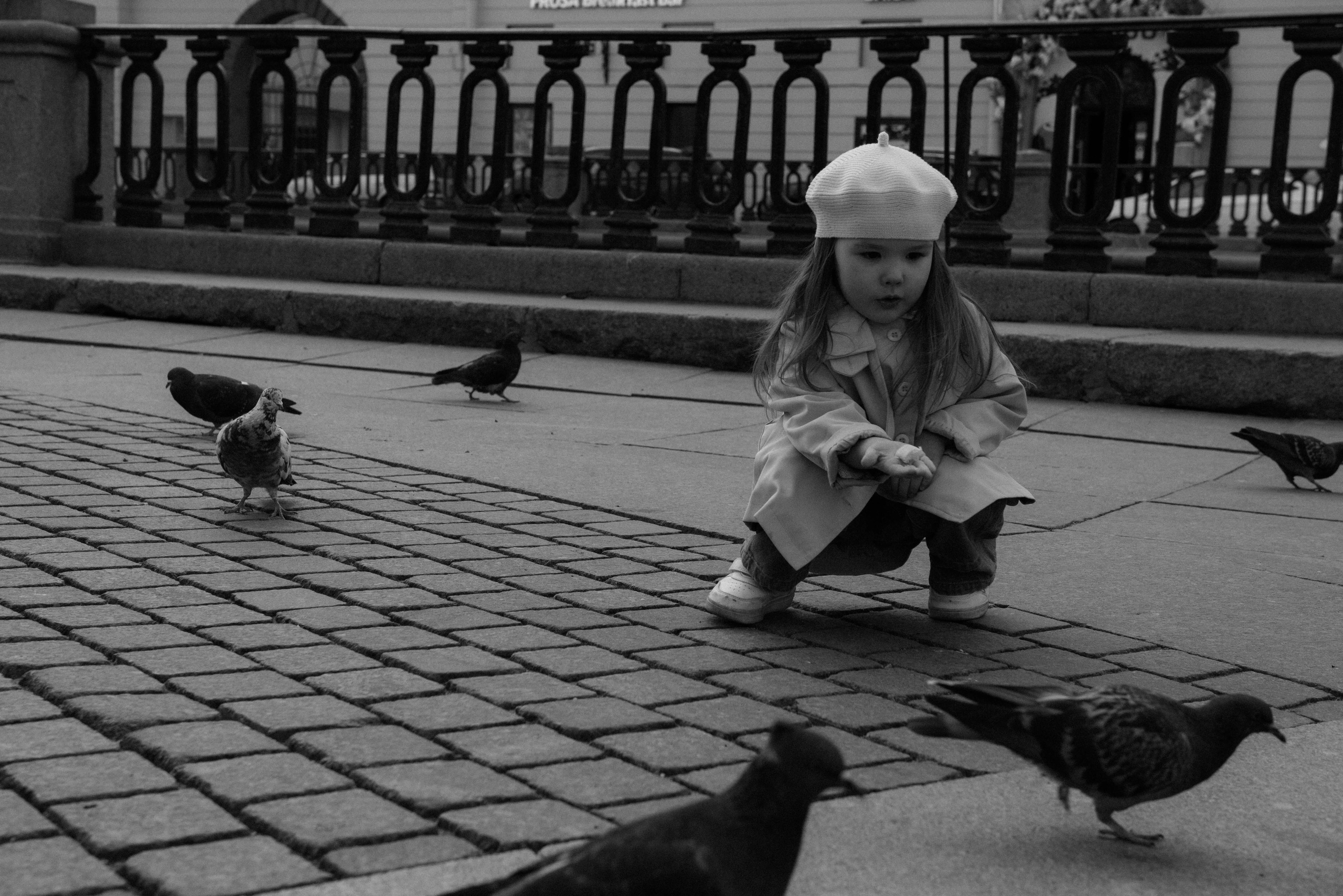 голуби и ребенок 