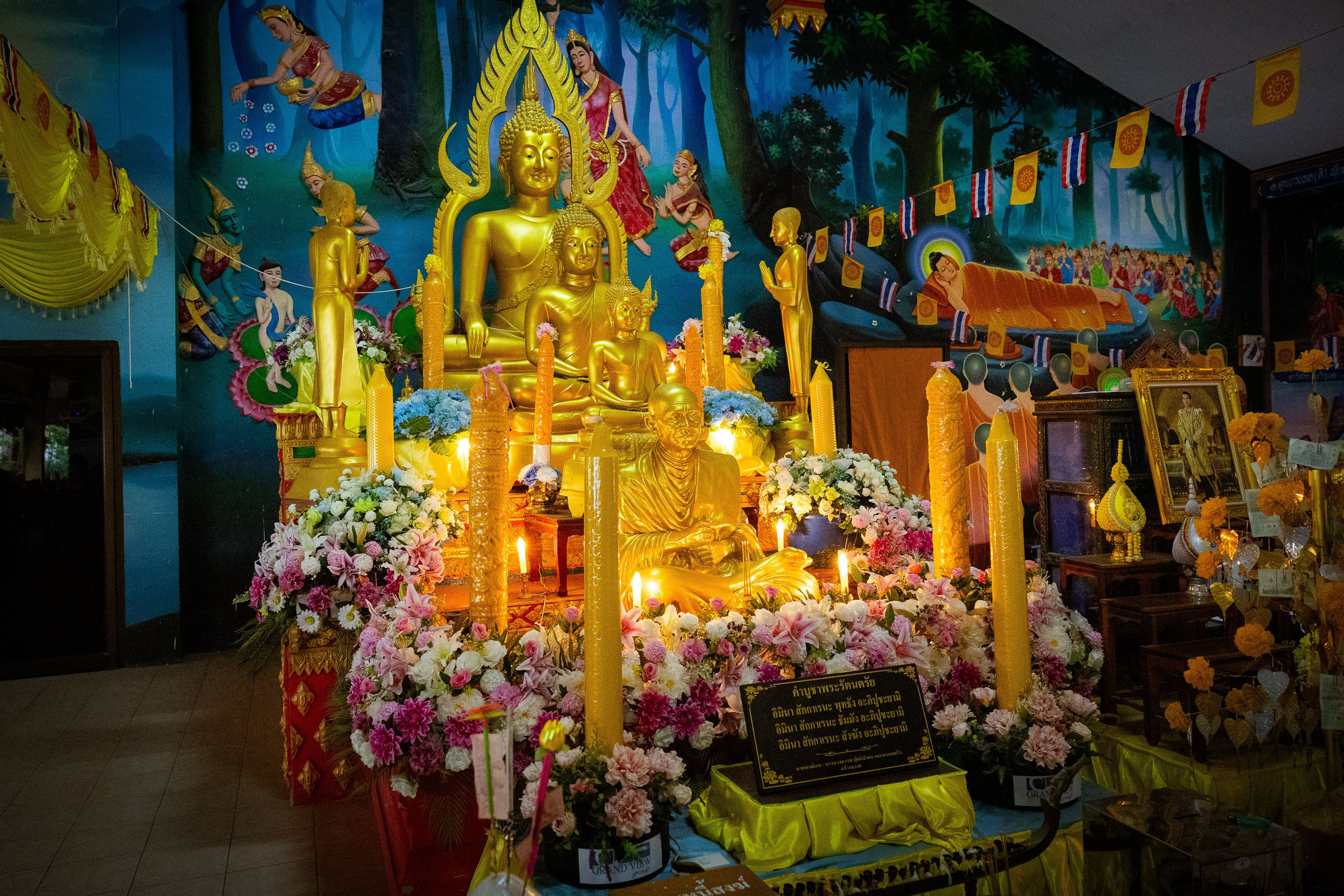 Таиланд (зима 2025). Фотограф Виноградов Константин