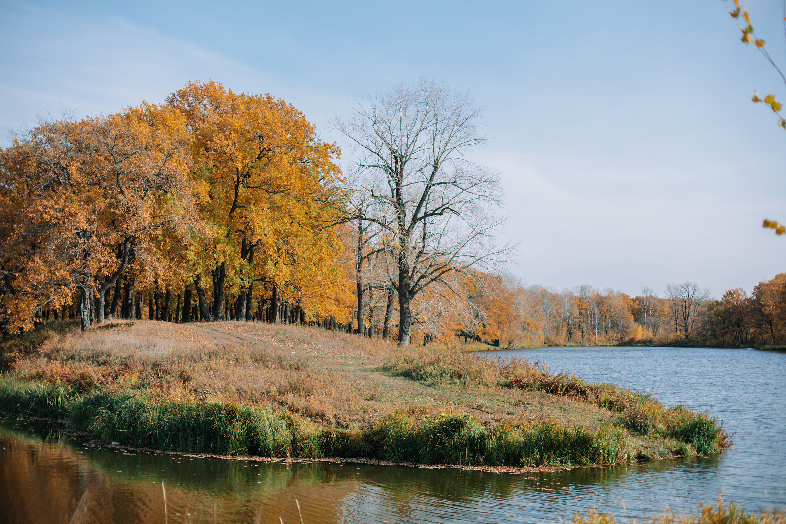 Кристина и Алексей. Свадебный фотограф в Самаре Катерина Мостовая