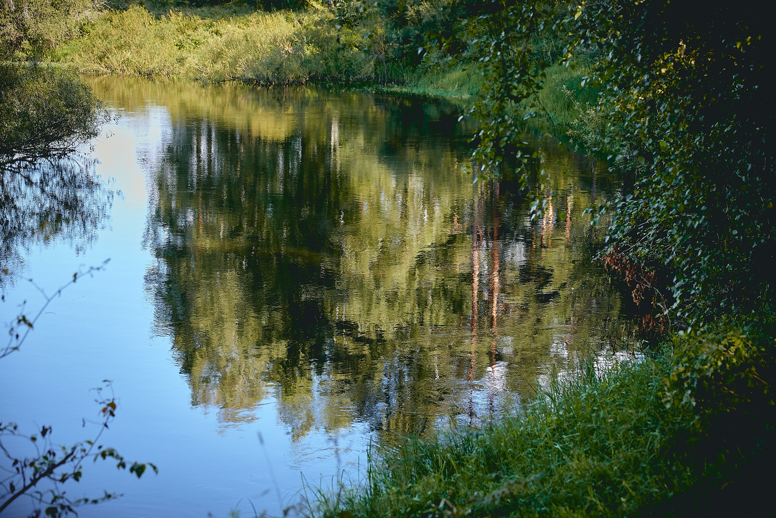 Пушкинские горы. Юлия Иванова. Фотограф для лучших моментов