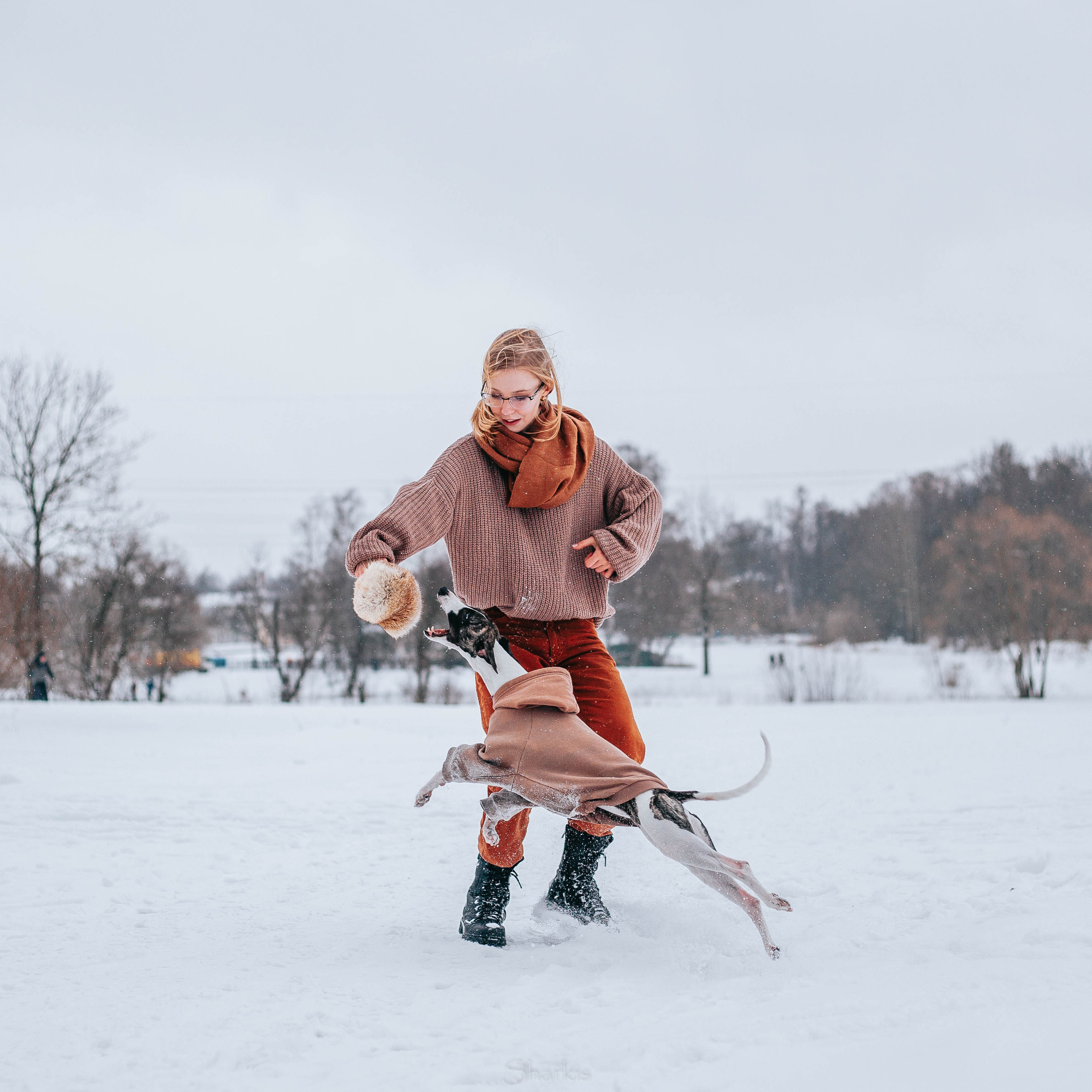Хельга и Пёс. Главная