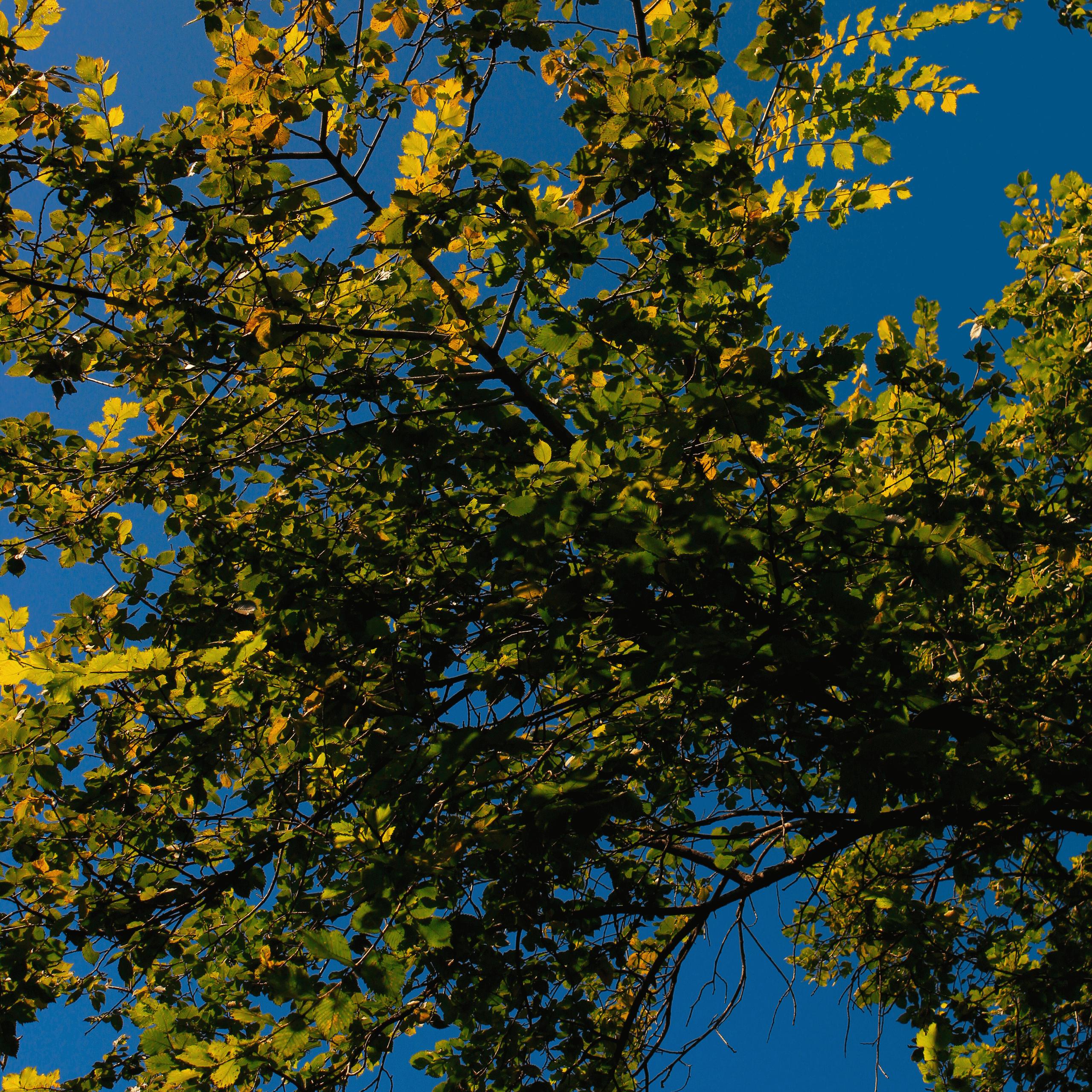 Summertime. Фотограф/дизайнер в Екатеринбурге Хитрый Дмитрий