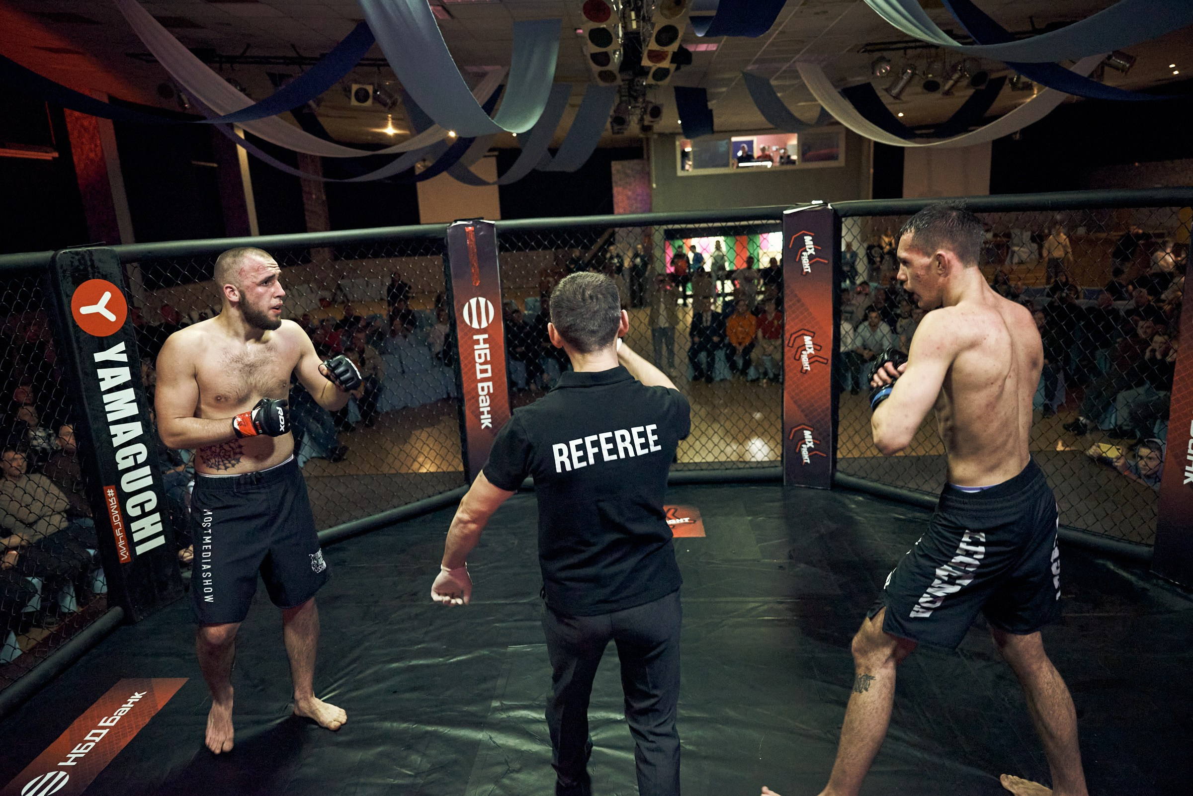 Бои. Маляревич Дмитрий свадебный фотограф