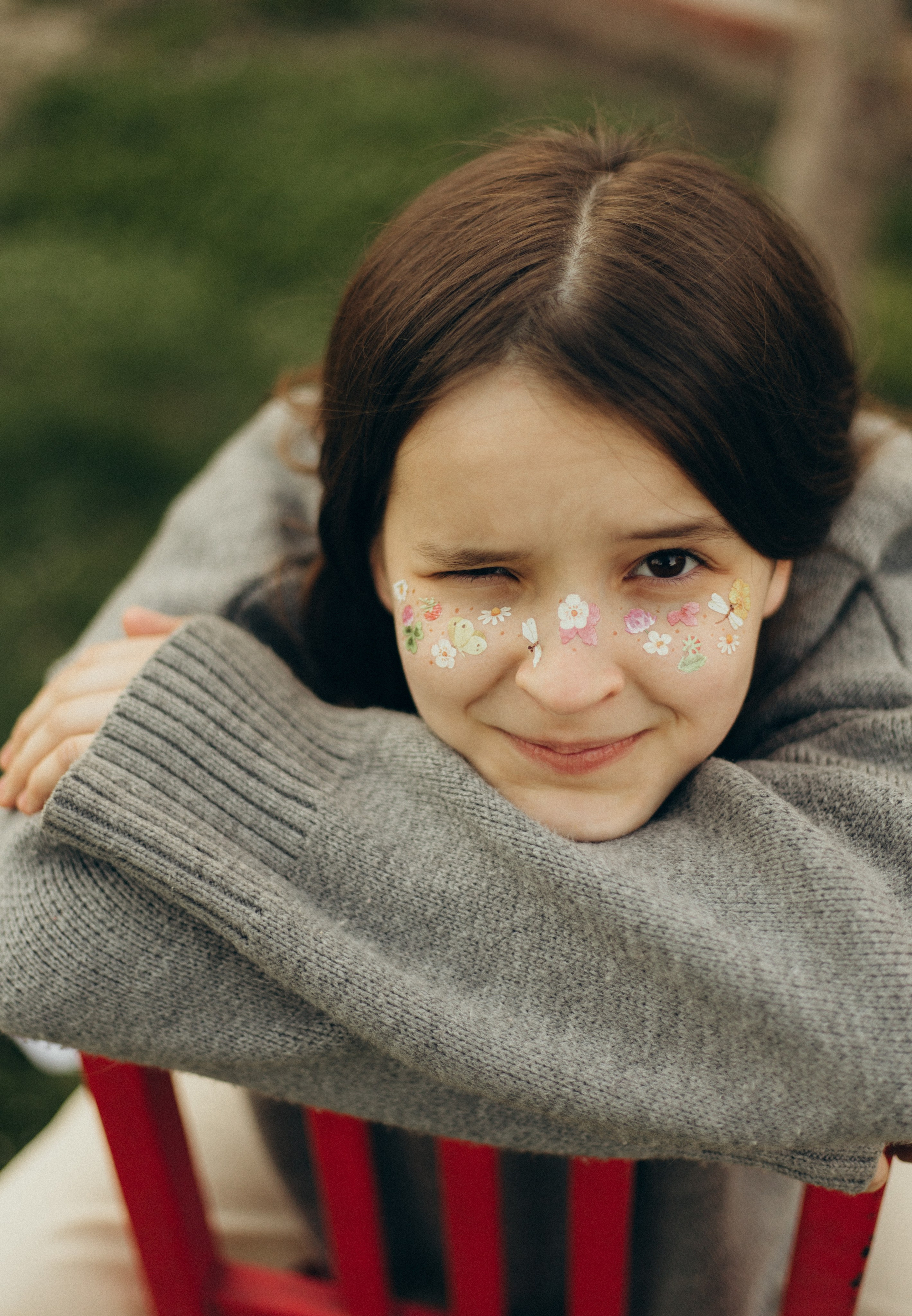 Домашняя история. Meryfotoidea