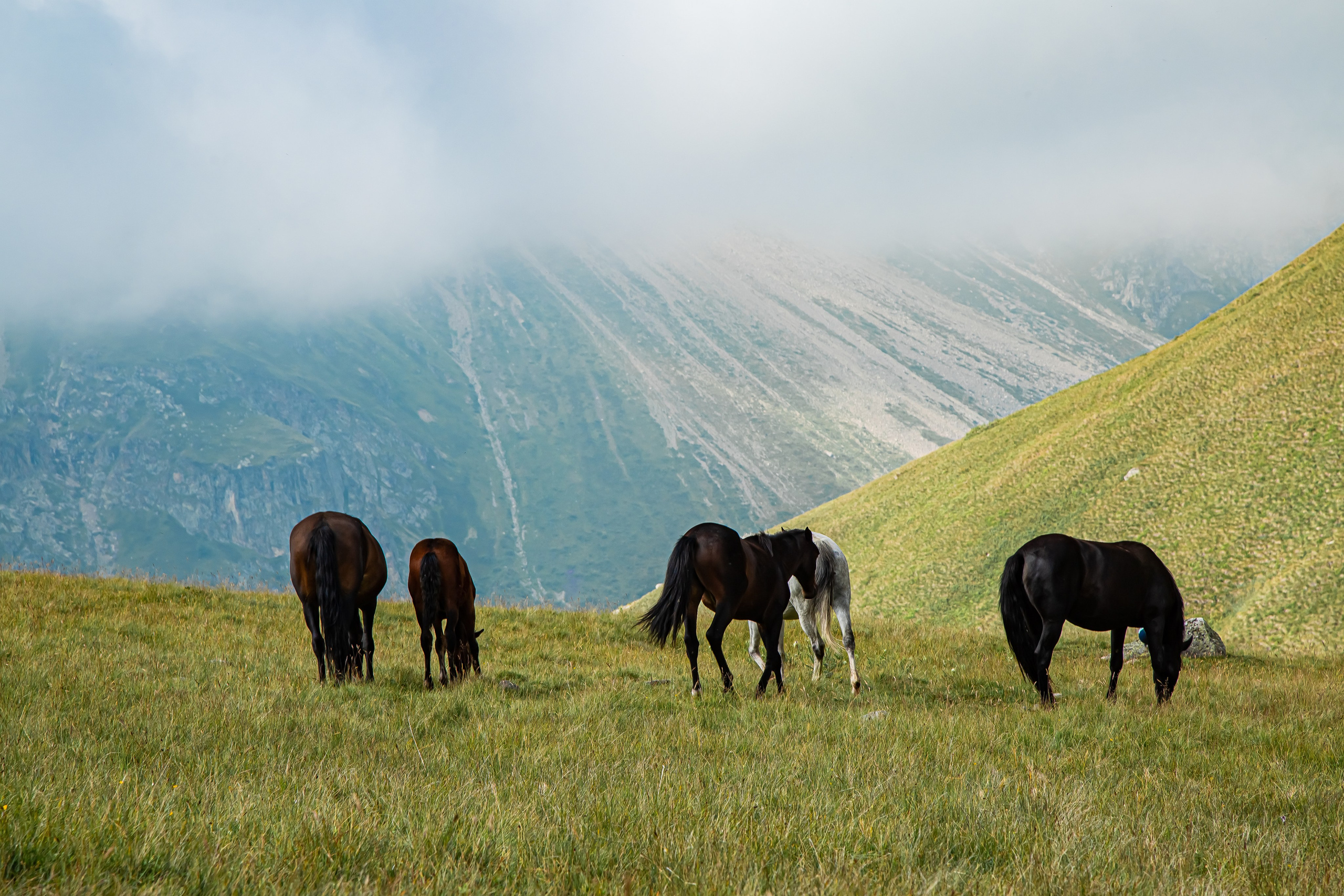 КАВКАЗ. Авторские туры с профессиональным фотографом
