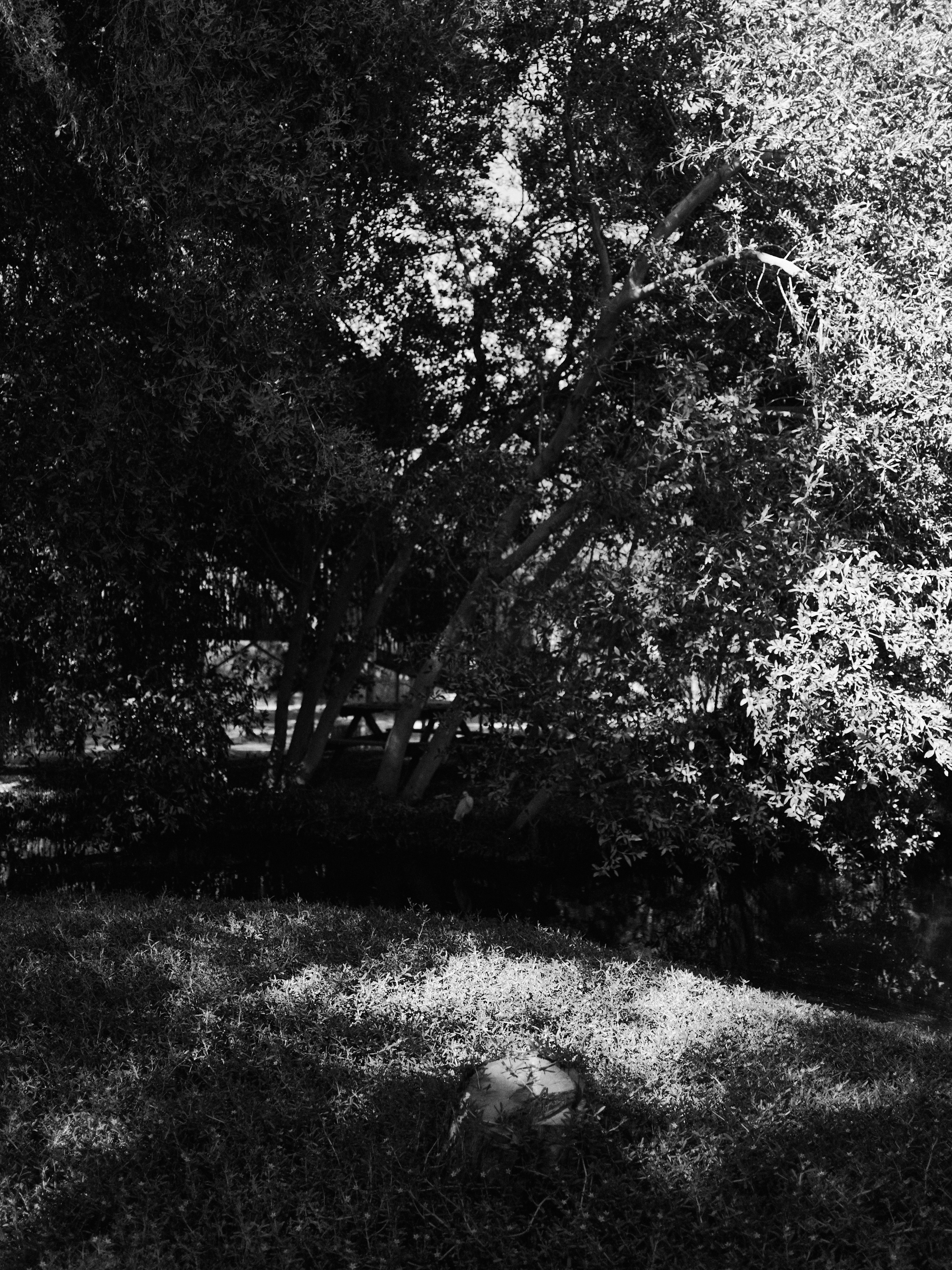 Другое 3. Jorgis Talè — photographer, kind person, teacher of arts and other mag