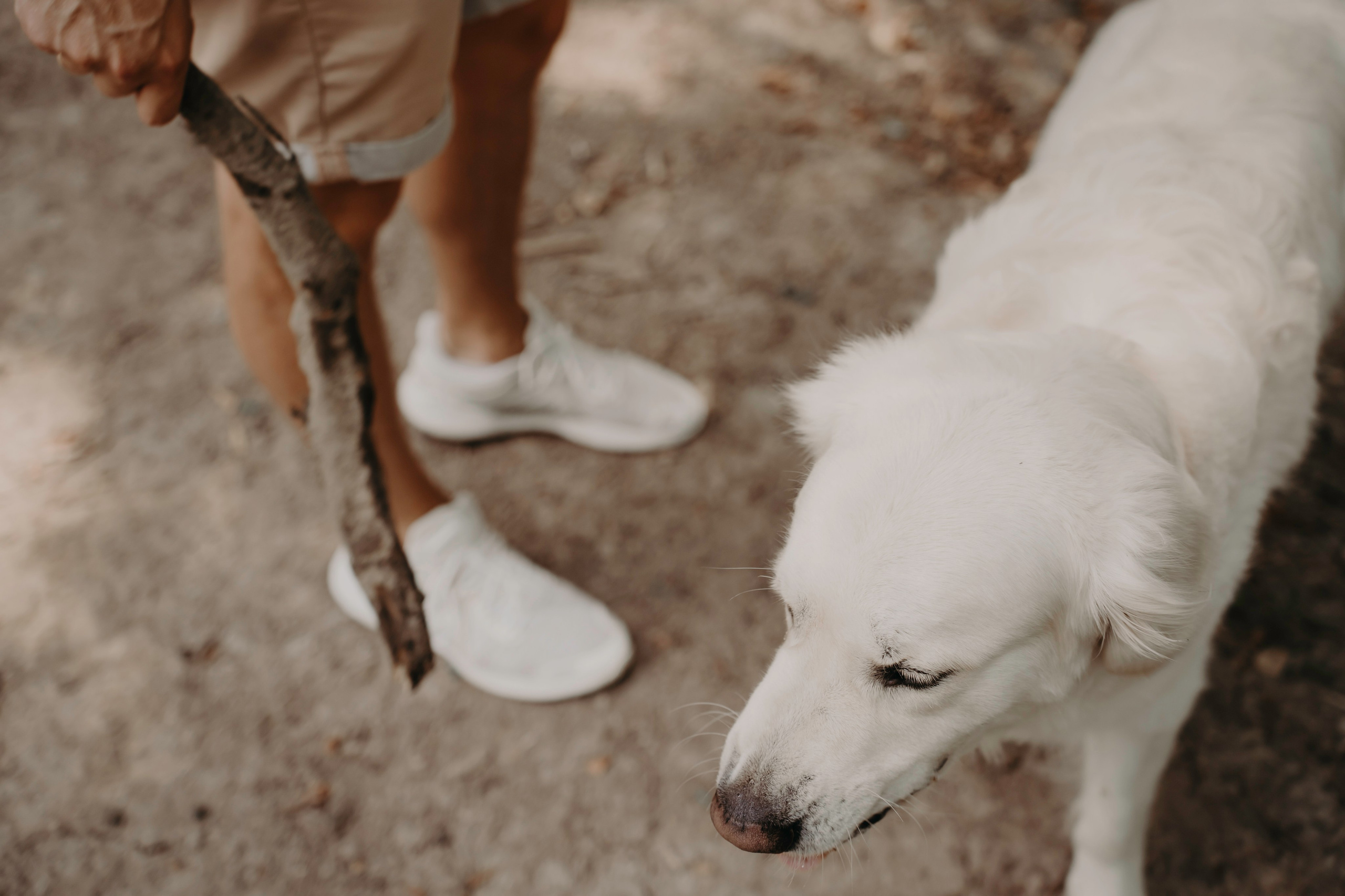 Прогулка в лесу. Фотограф Ирина Ликсунова