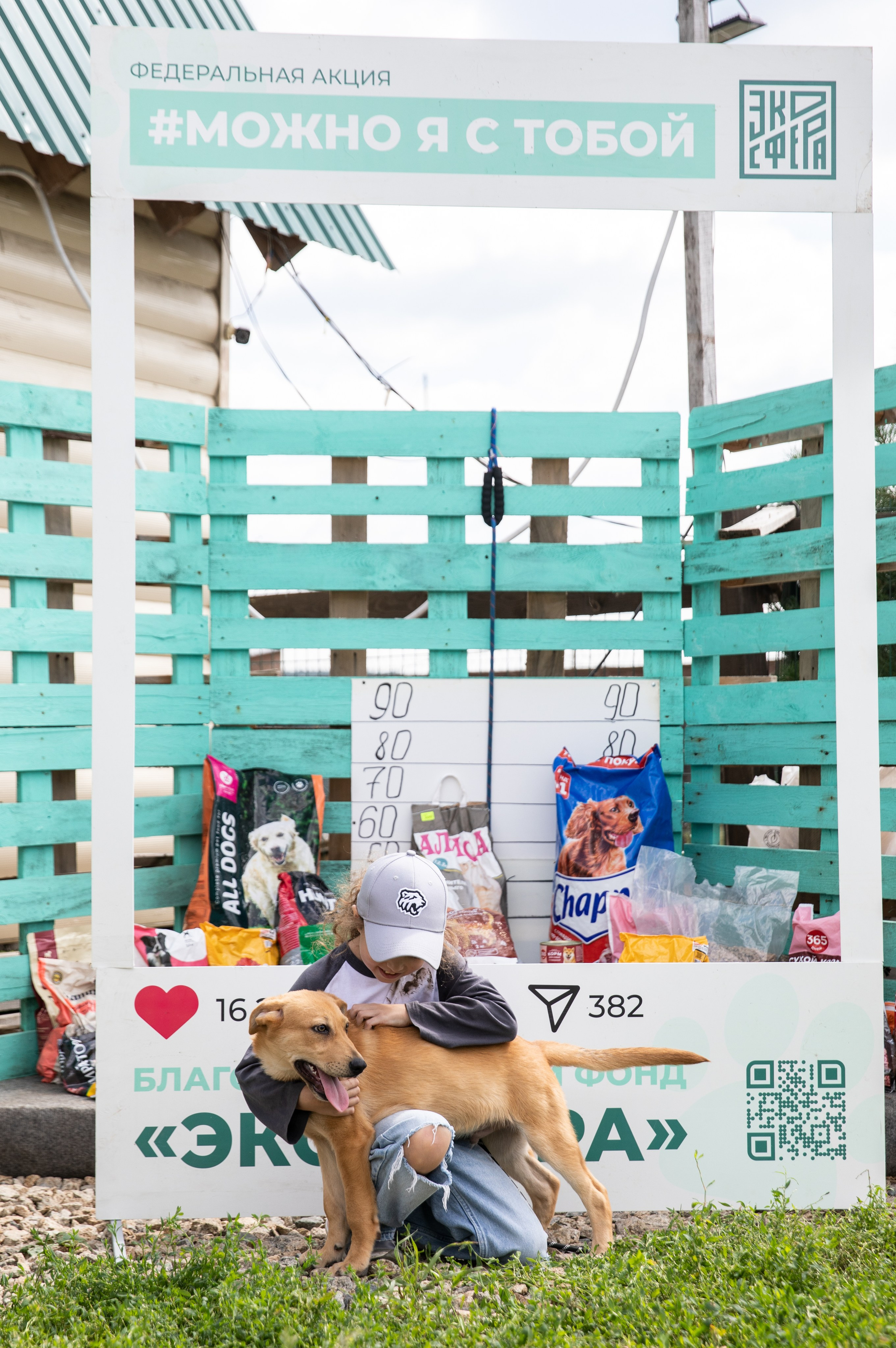 Приют — Наш дом. Репортажный и свадебный фотограф в Челябинске Елисеев Павел