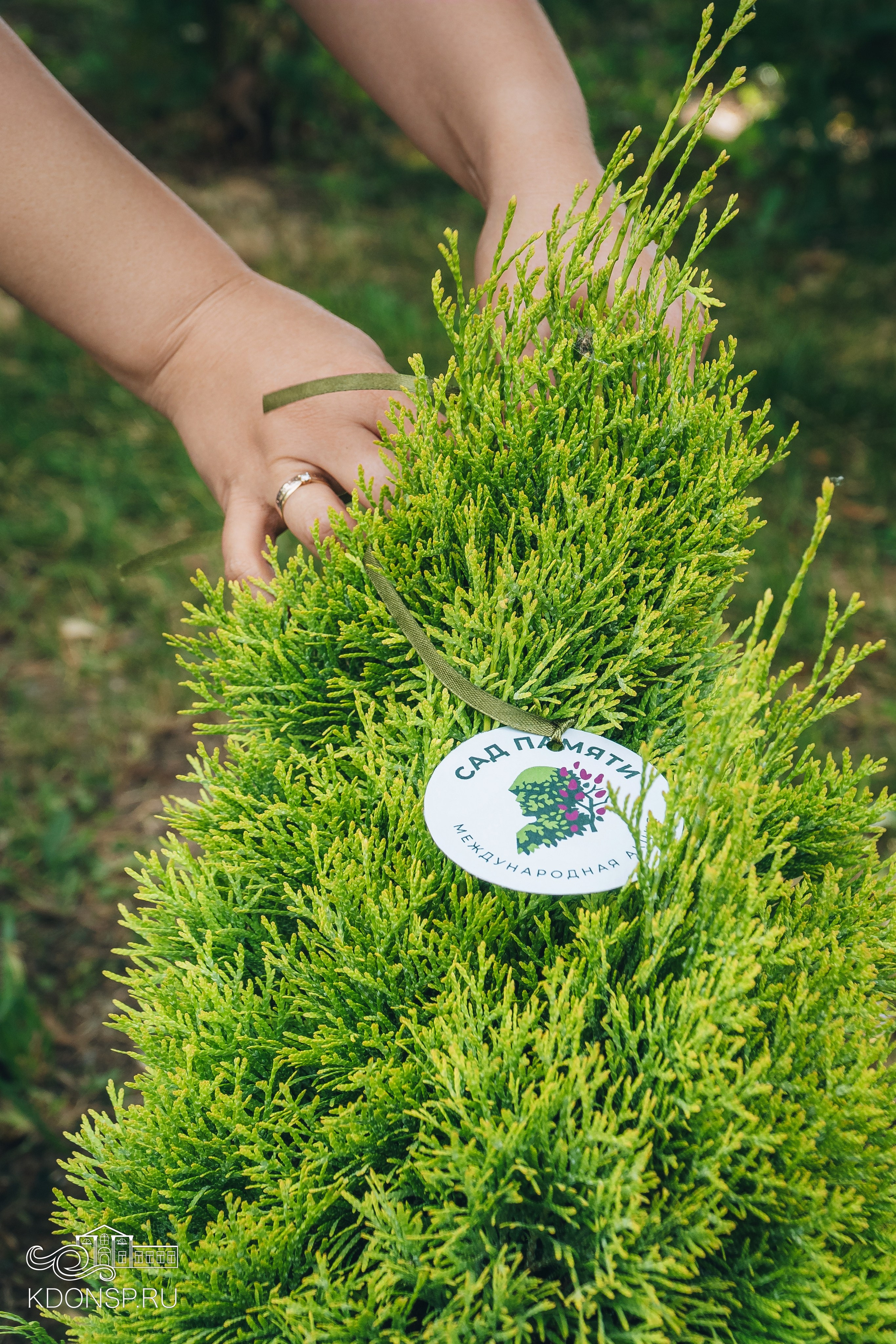 «Сад Памяти». Новотитаровский Дом культуры