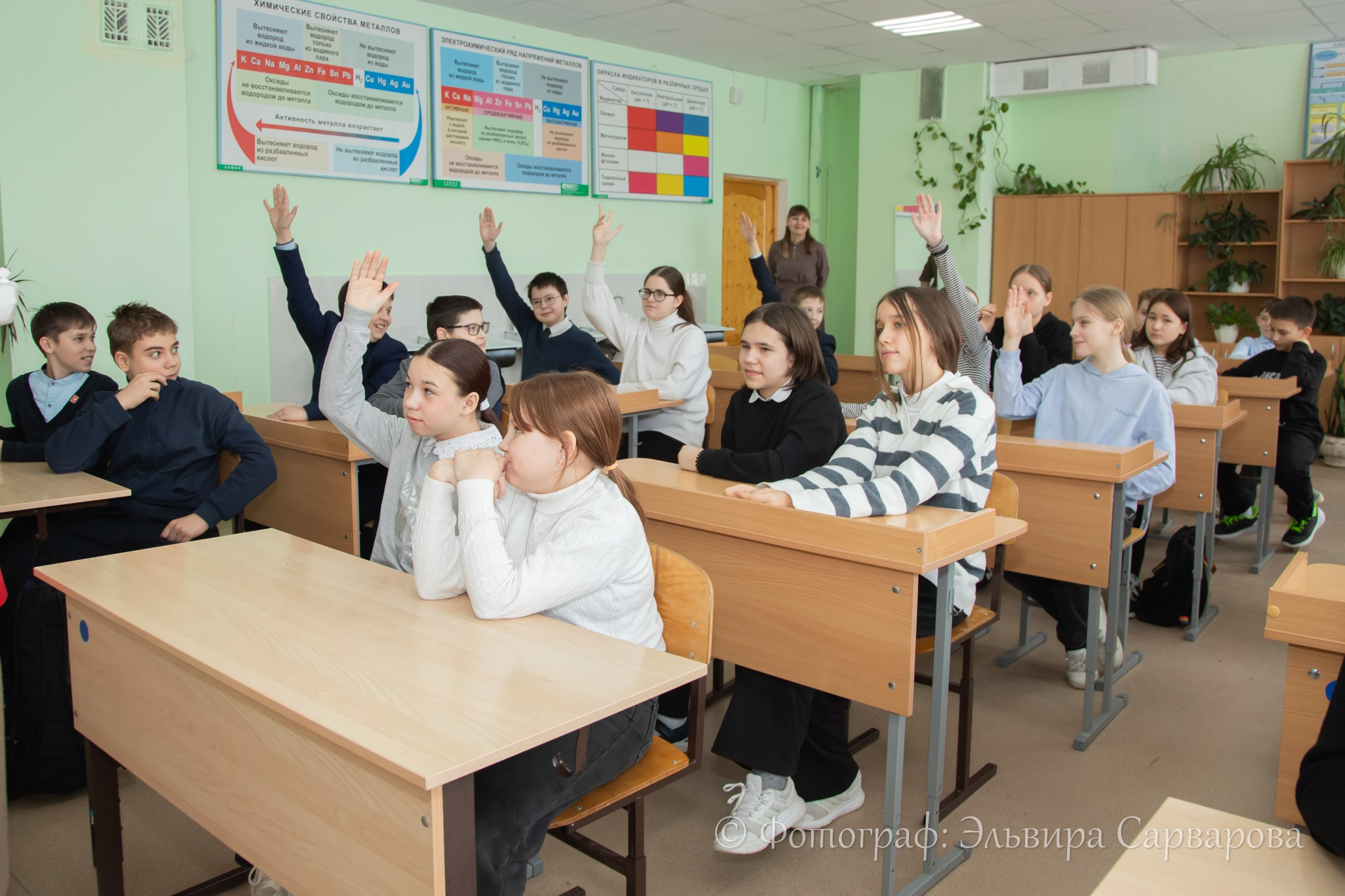 Мастер-класс по леденцам. Репортажный Фотограф