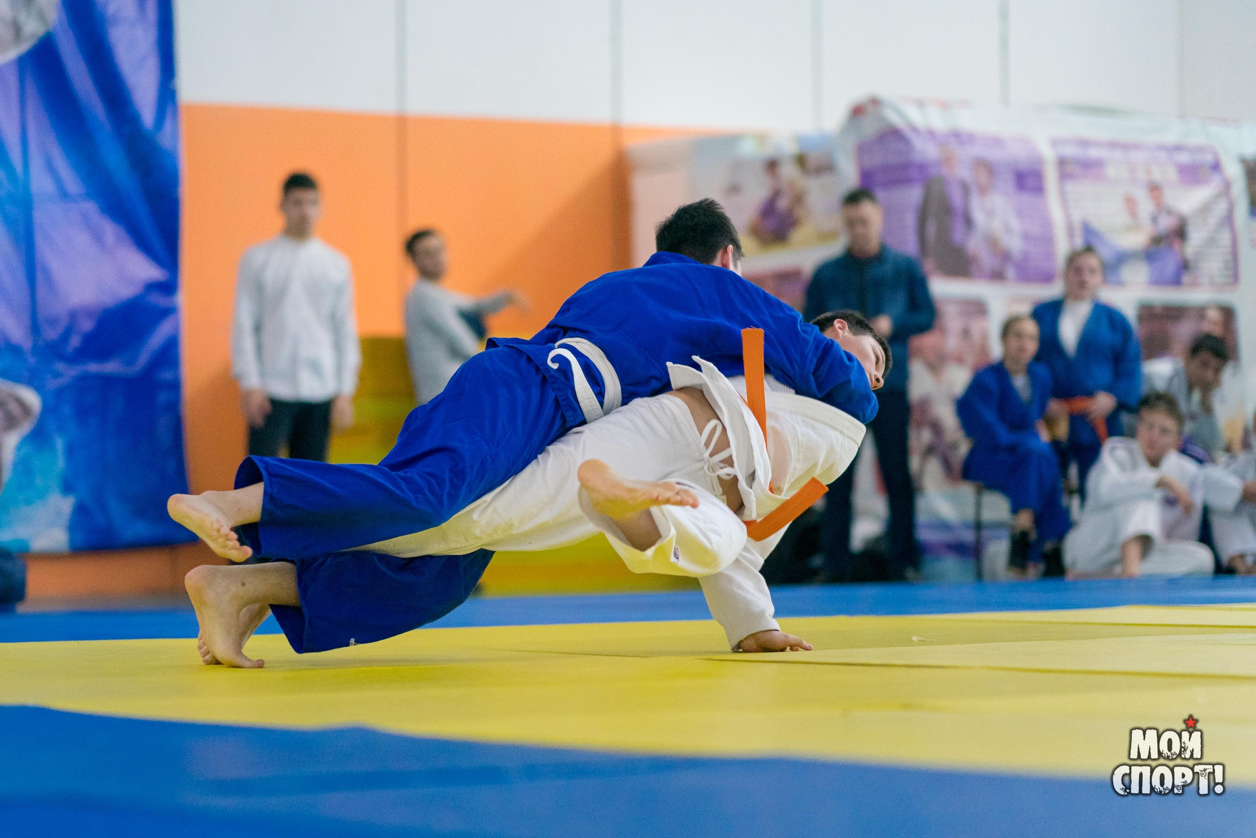 Кубок и первенство РС (Я) по дзюдо. Студия «Мой Спорт!» — все о спорте в Якутии