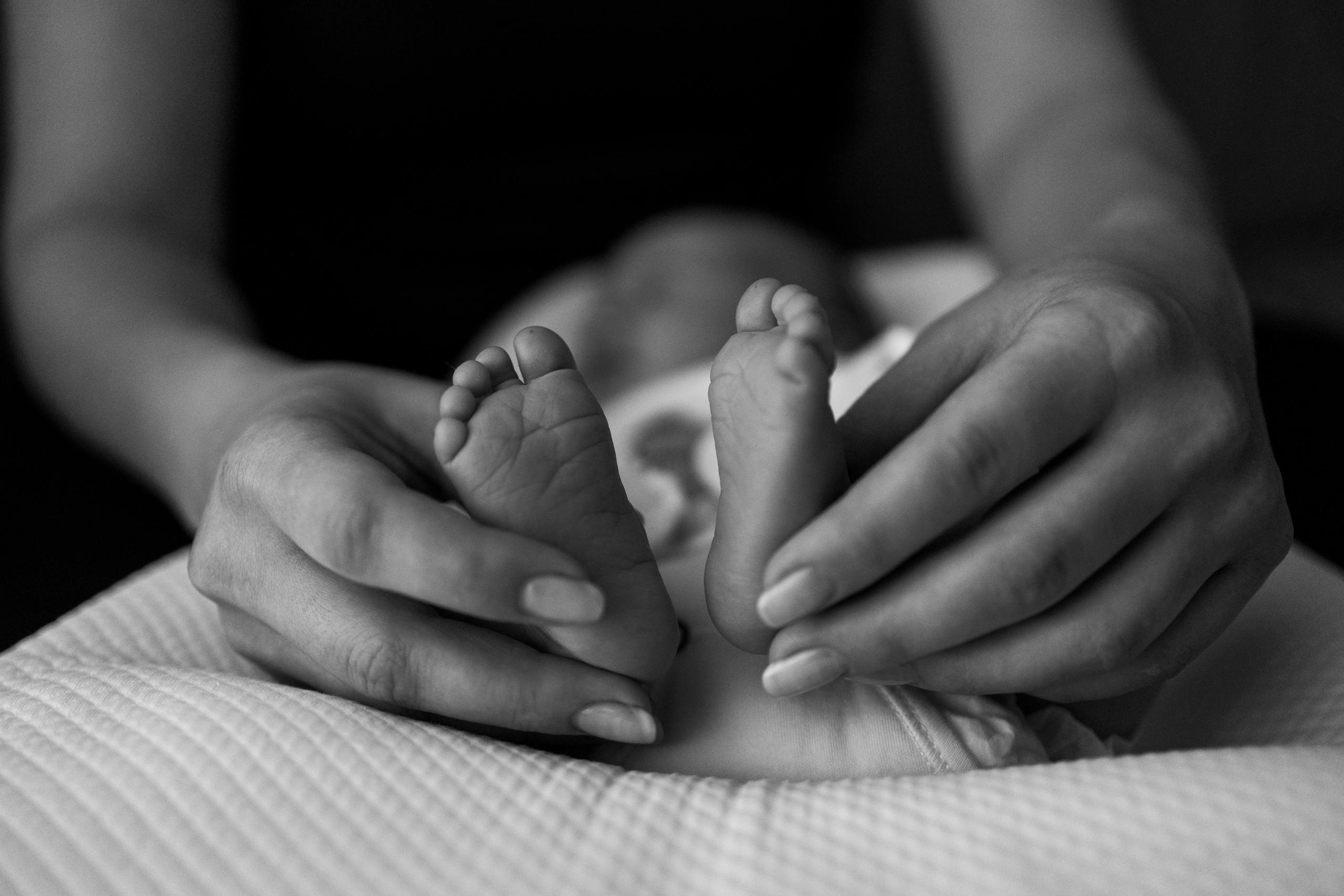 Гордей. Фотограф Новосибирск