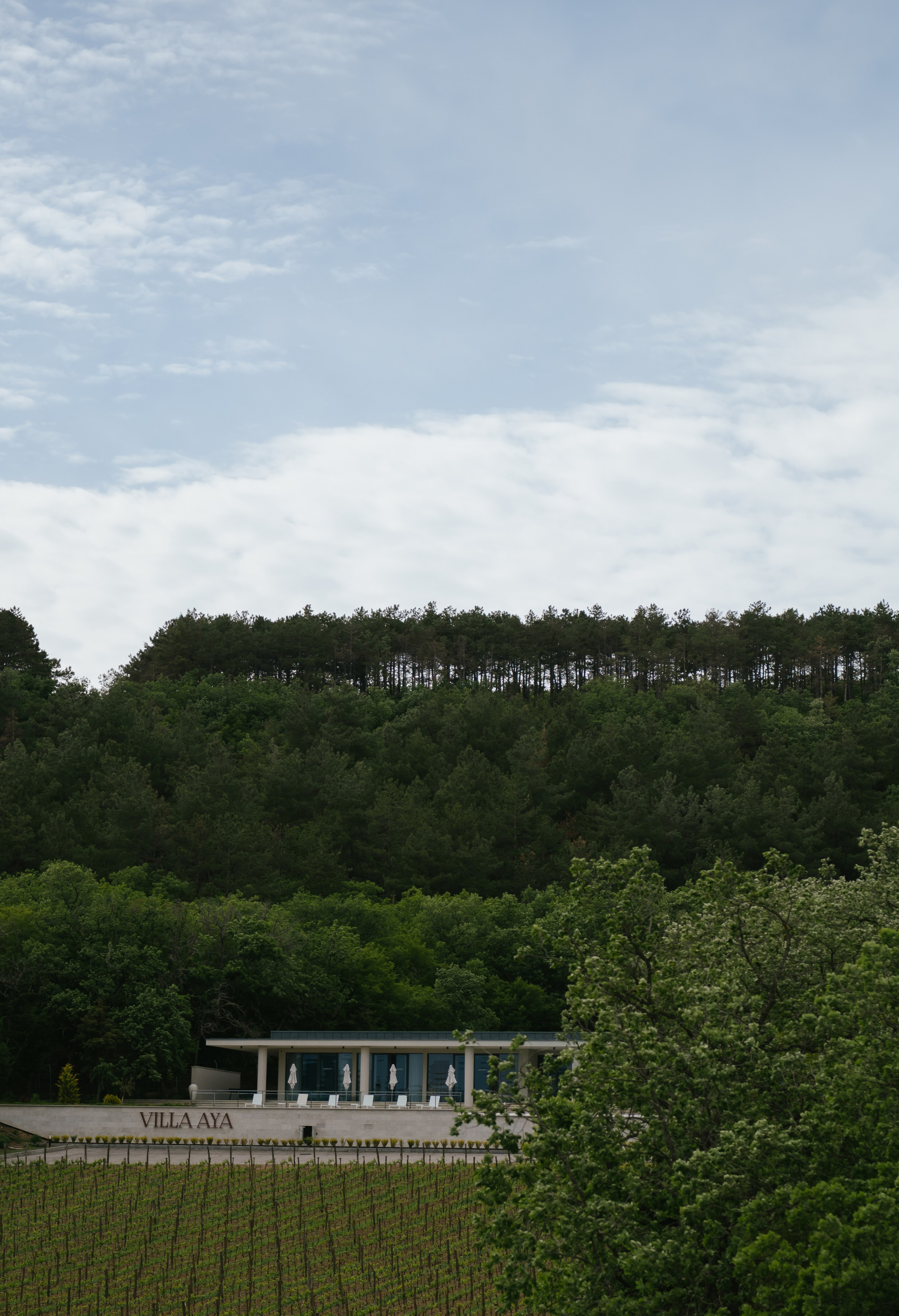 ♥. Свадебный, женский, семейный фотограф в Севастополе Юлия Мошенко