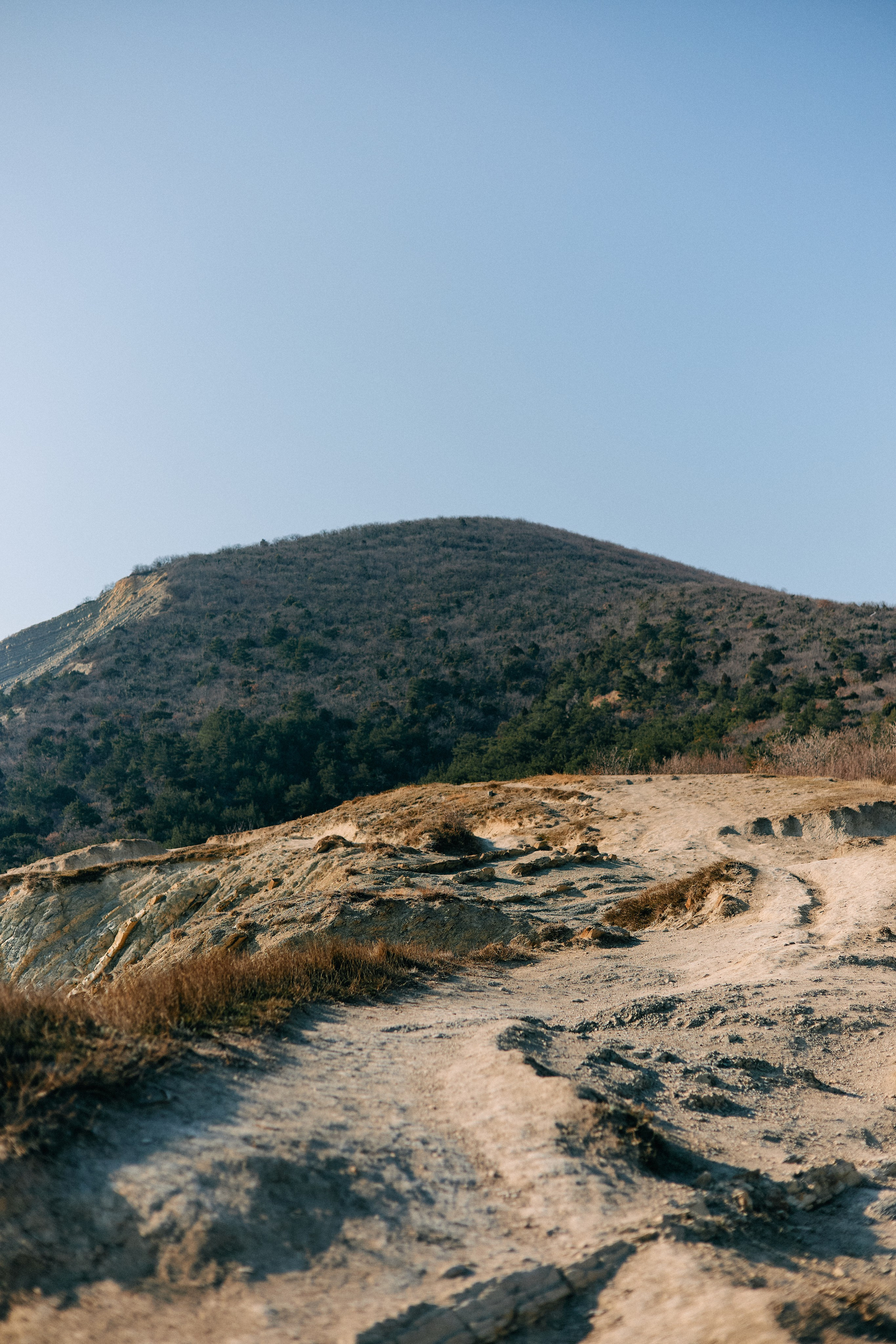 Юг России. Профессиональный Фотограф во Владимире, в Москве и в Суздале — Полина Романычева