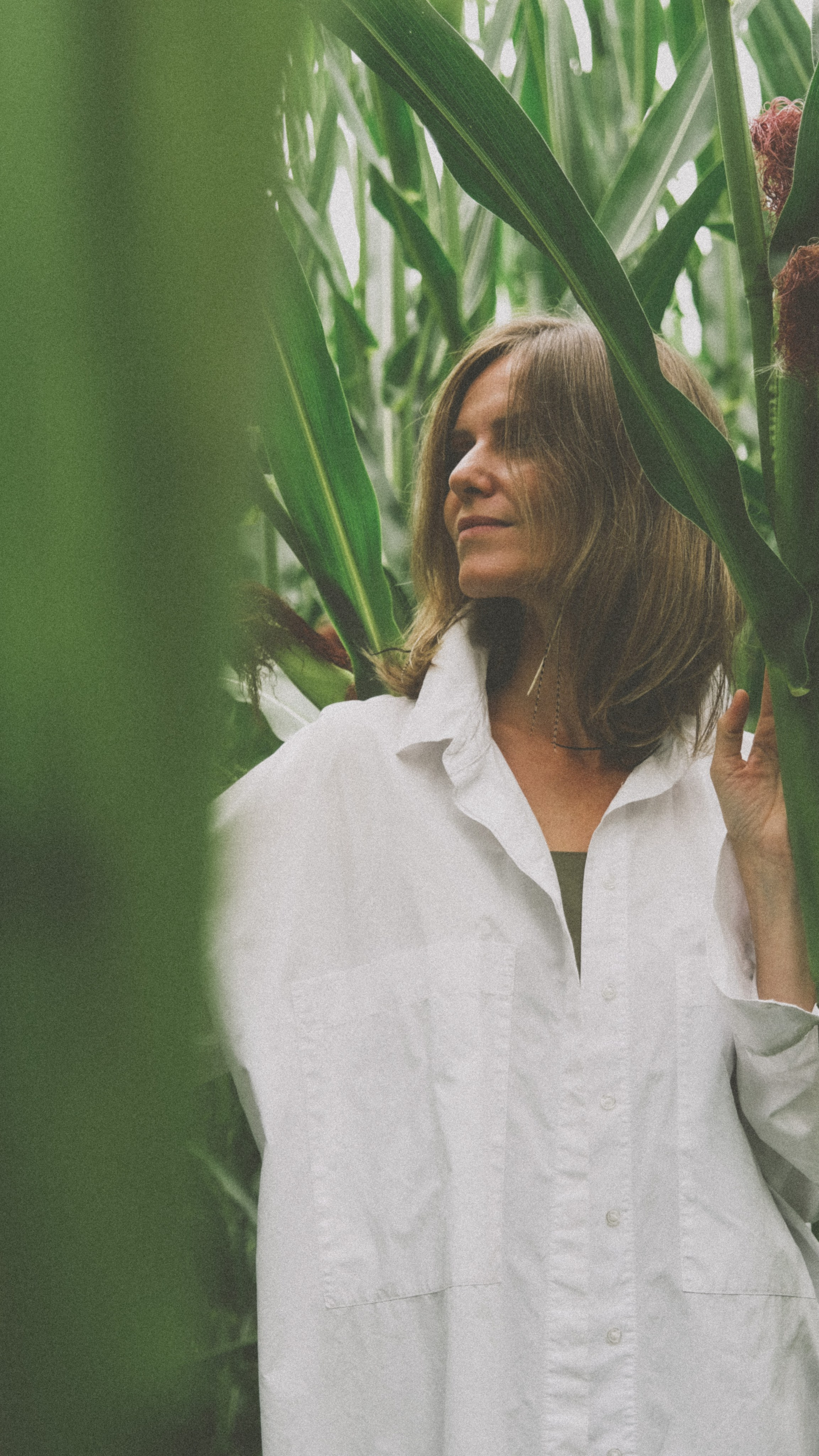 В кукурузном поле. Семейный фотограф Москва и Домодедово Ольга Игнатова