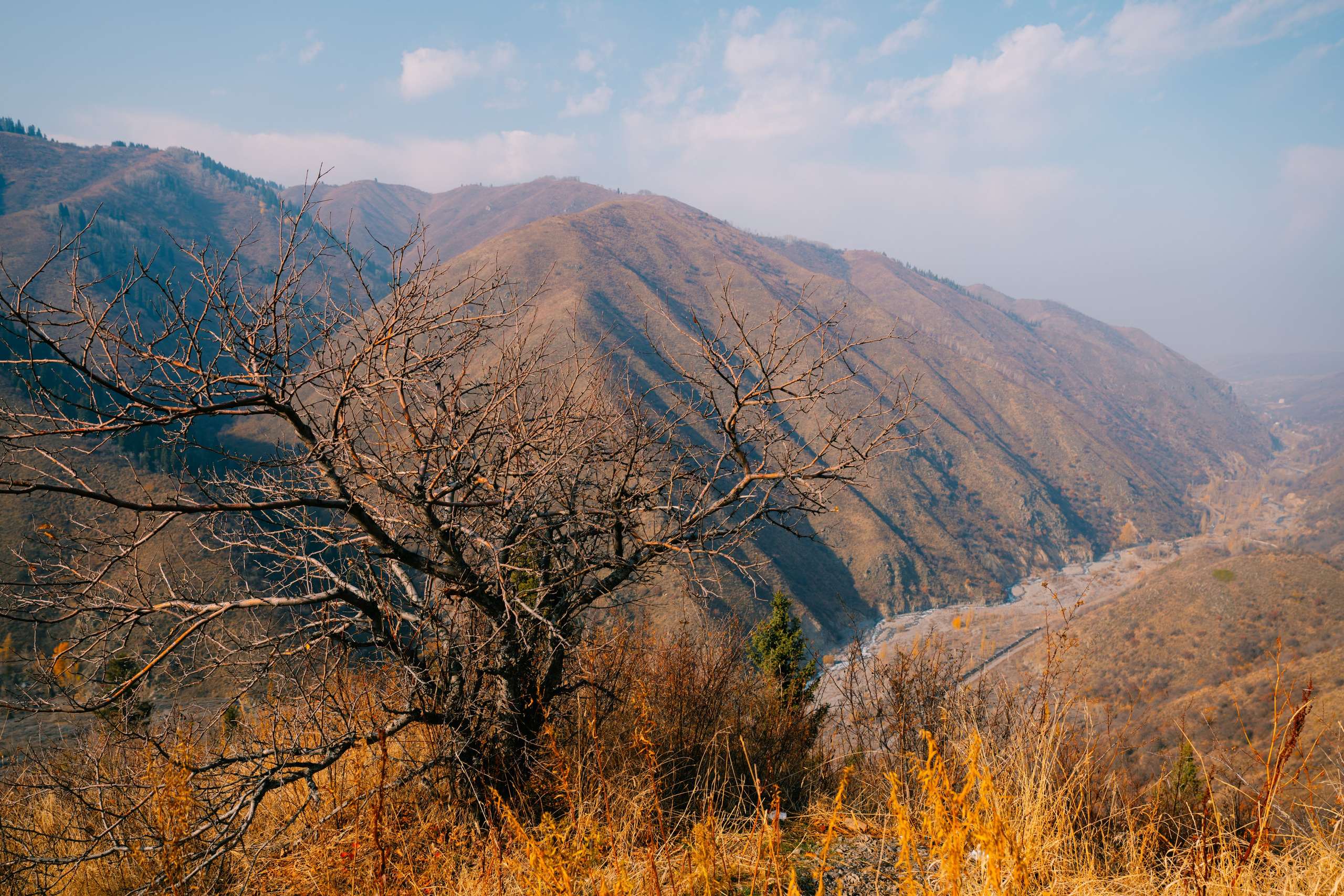 Озеро Иссык, осень 2025. Фотограф в Алматы — Алексей Коньков | Репортаж, свадьбы, портреты